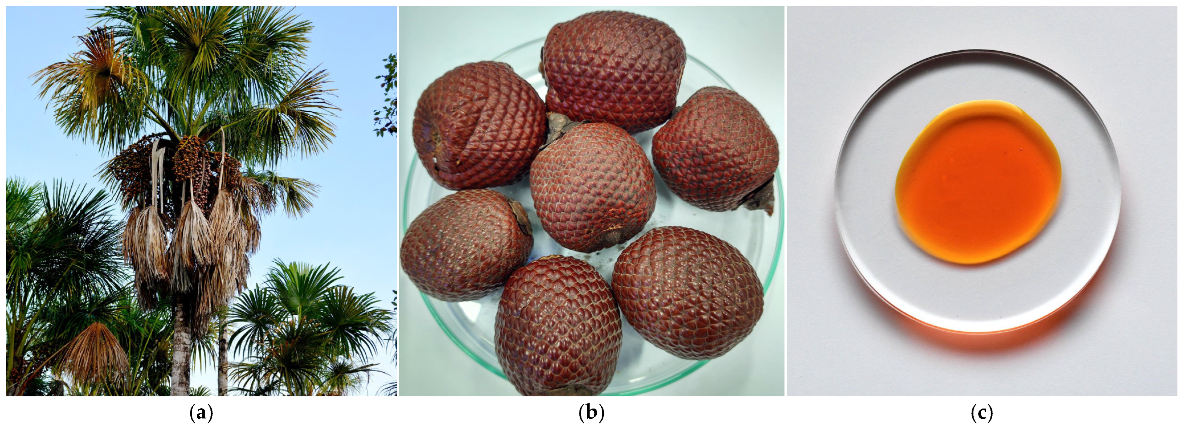 Metabolites 15 00554 g004 Metabolites 15 00554 g004