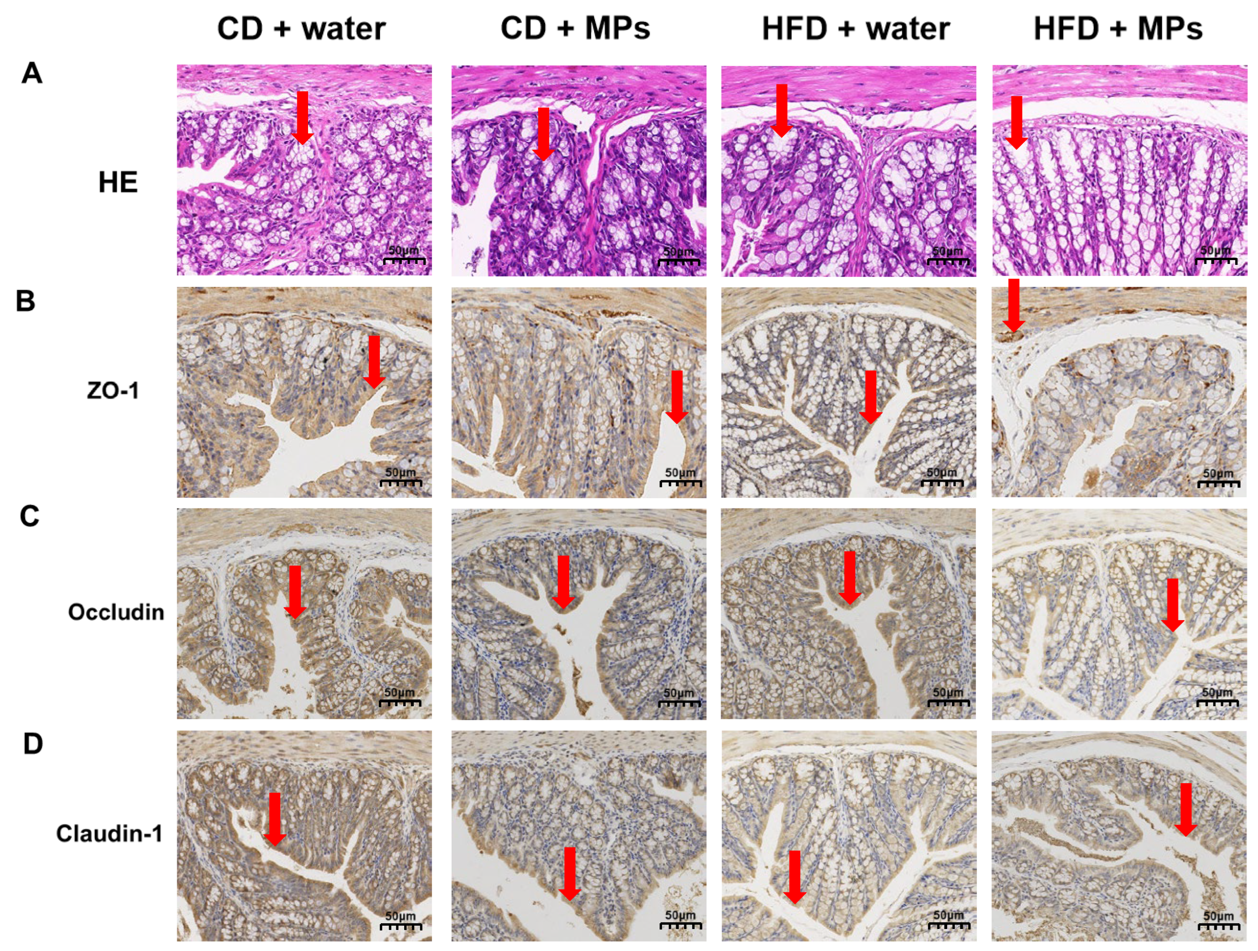 Metabolites 15 00557 g002 Metabolites 15 00557 g002