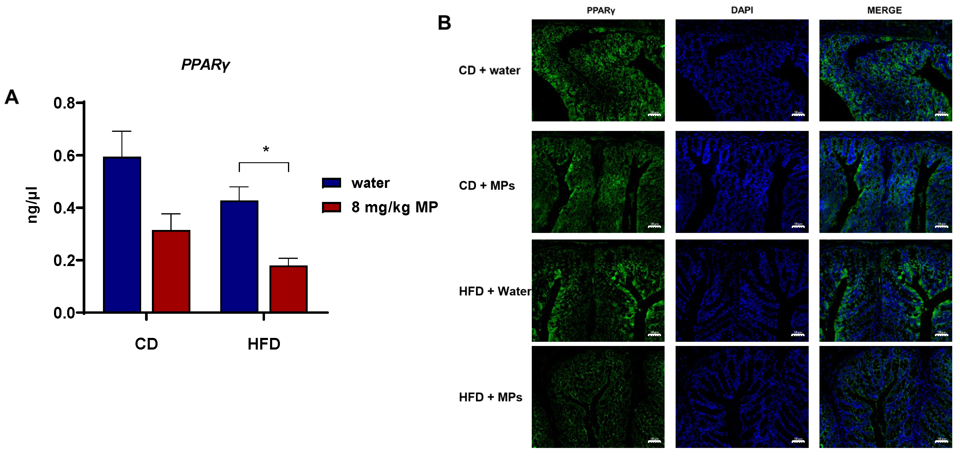 Metabolites 15 00557 g006 Metabolites 15 00557 g006