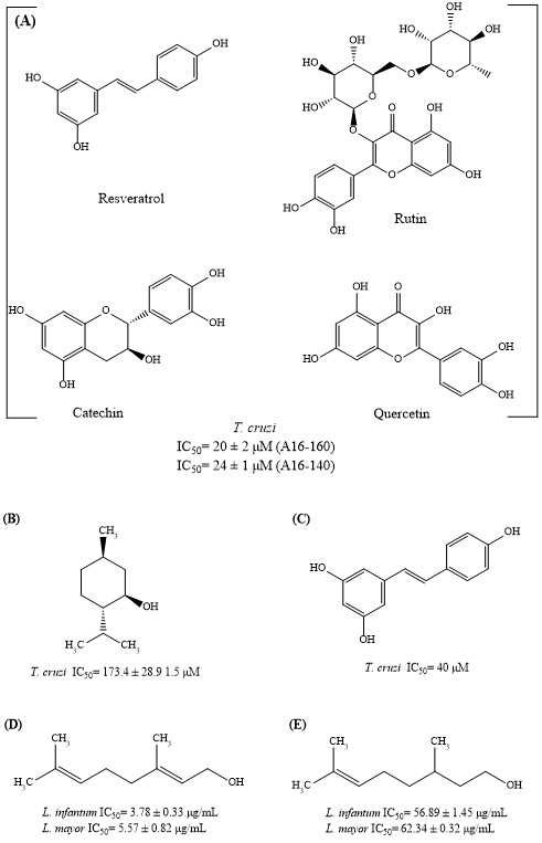 Metabolites 15 00560 g001 Metabolites 15 00560 g001
