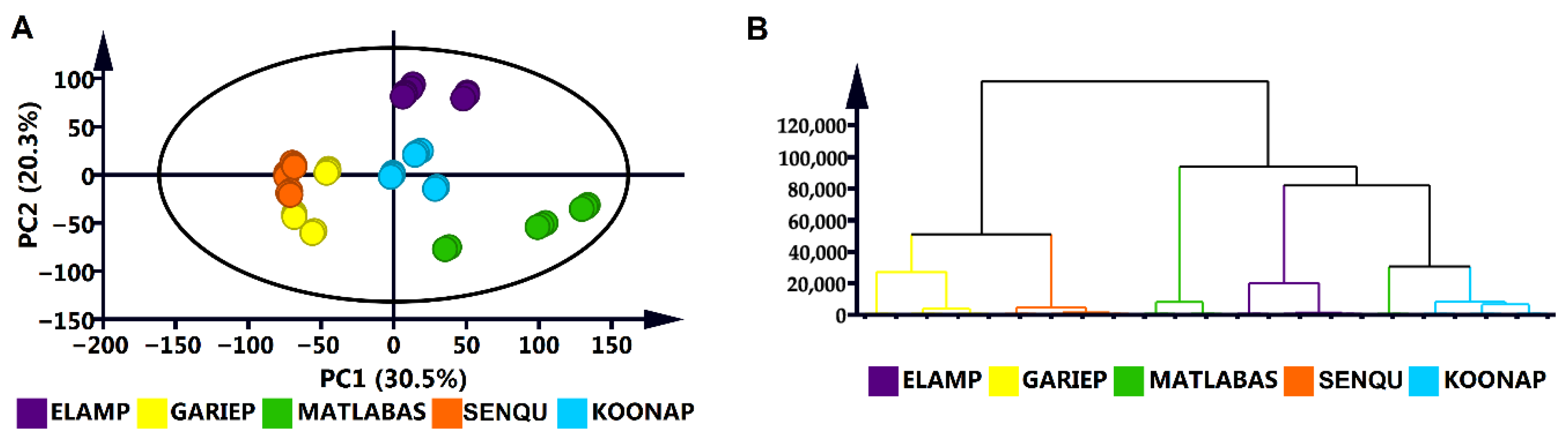 Metabolites 15 00603 g001 Metabolites 15 00603 g001
