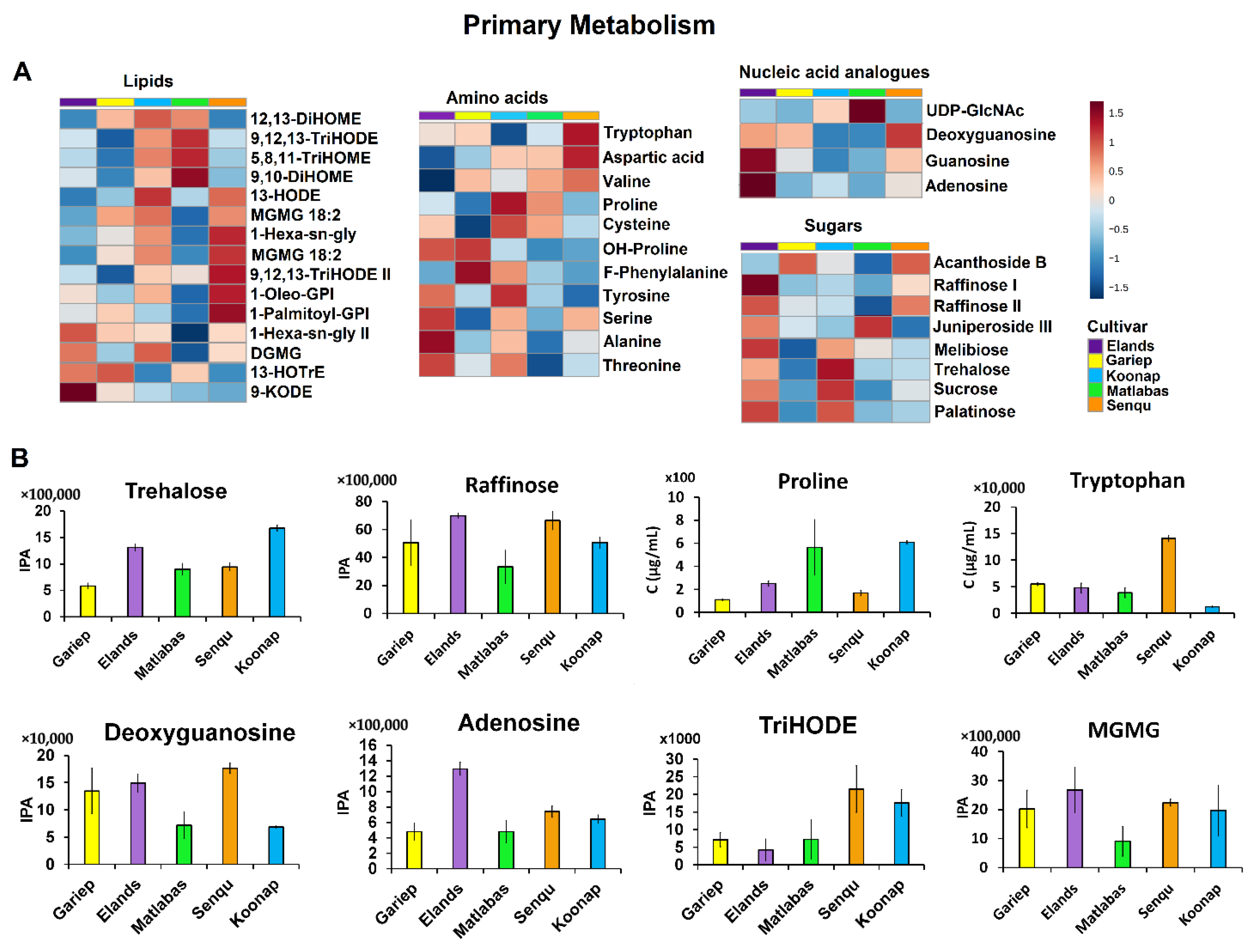 Metabolites 15 00603 g004 Metabolites 15 00603 g004