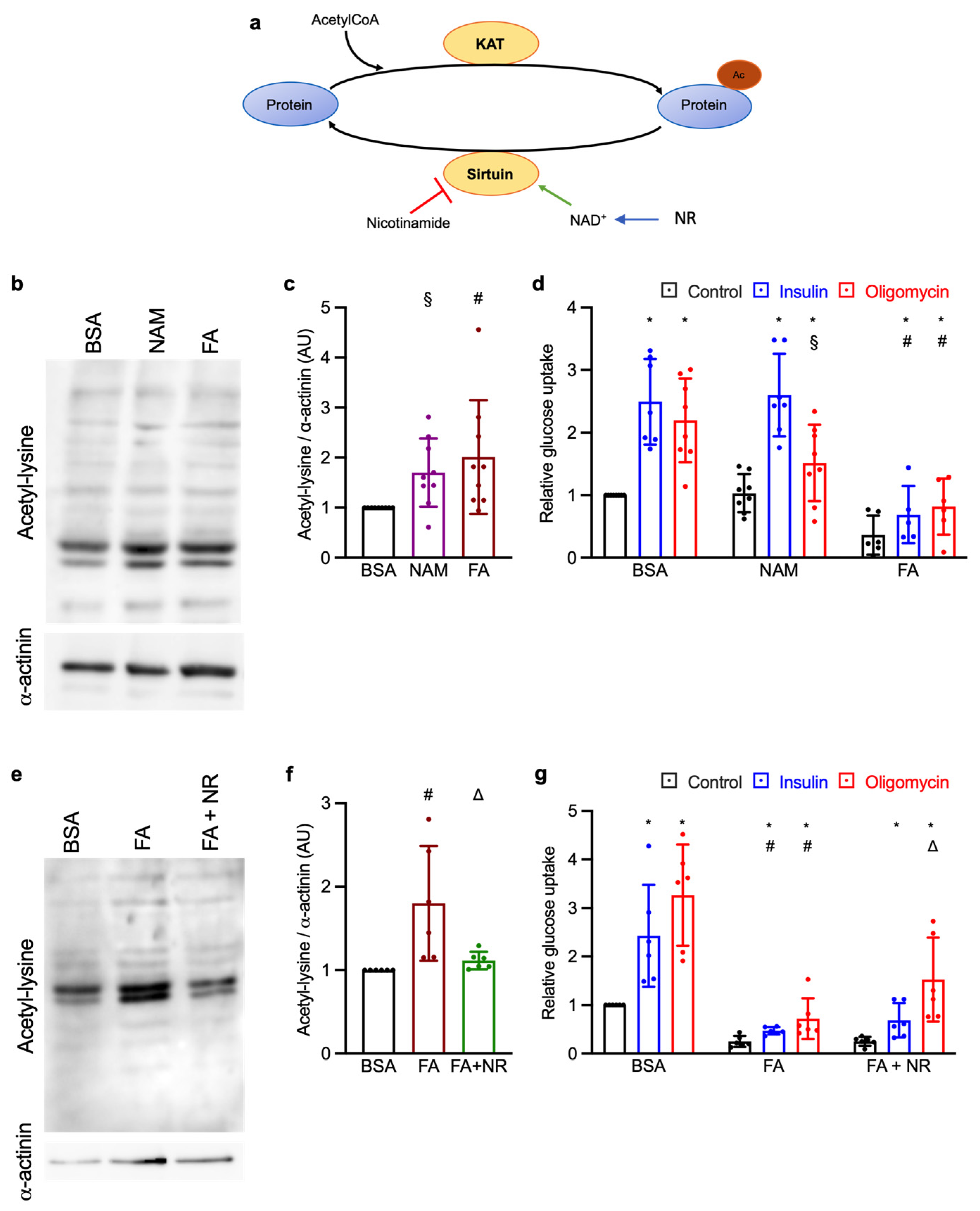 Metabolites 15 00636 g001 Metabolites 15 00636 g001