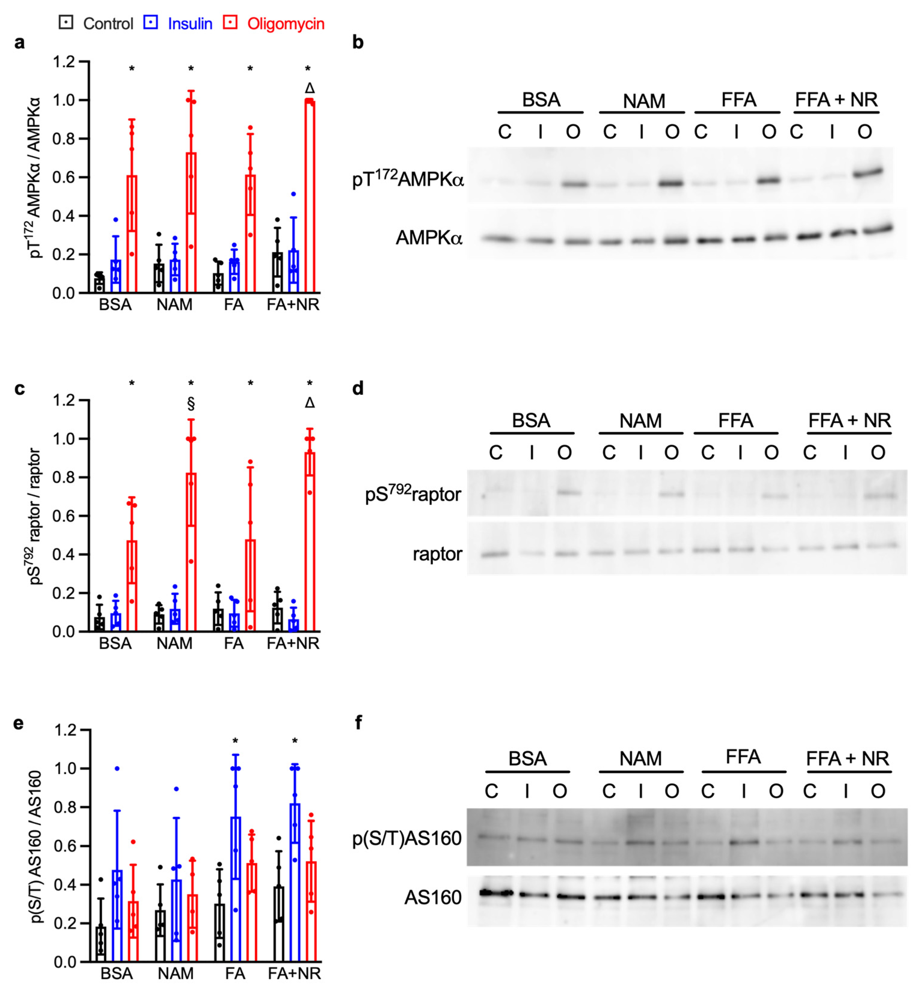 Metabolites 15 00636 g002 Metabolites 15 00636 g002