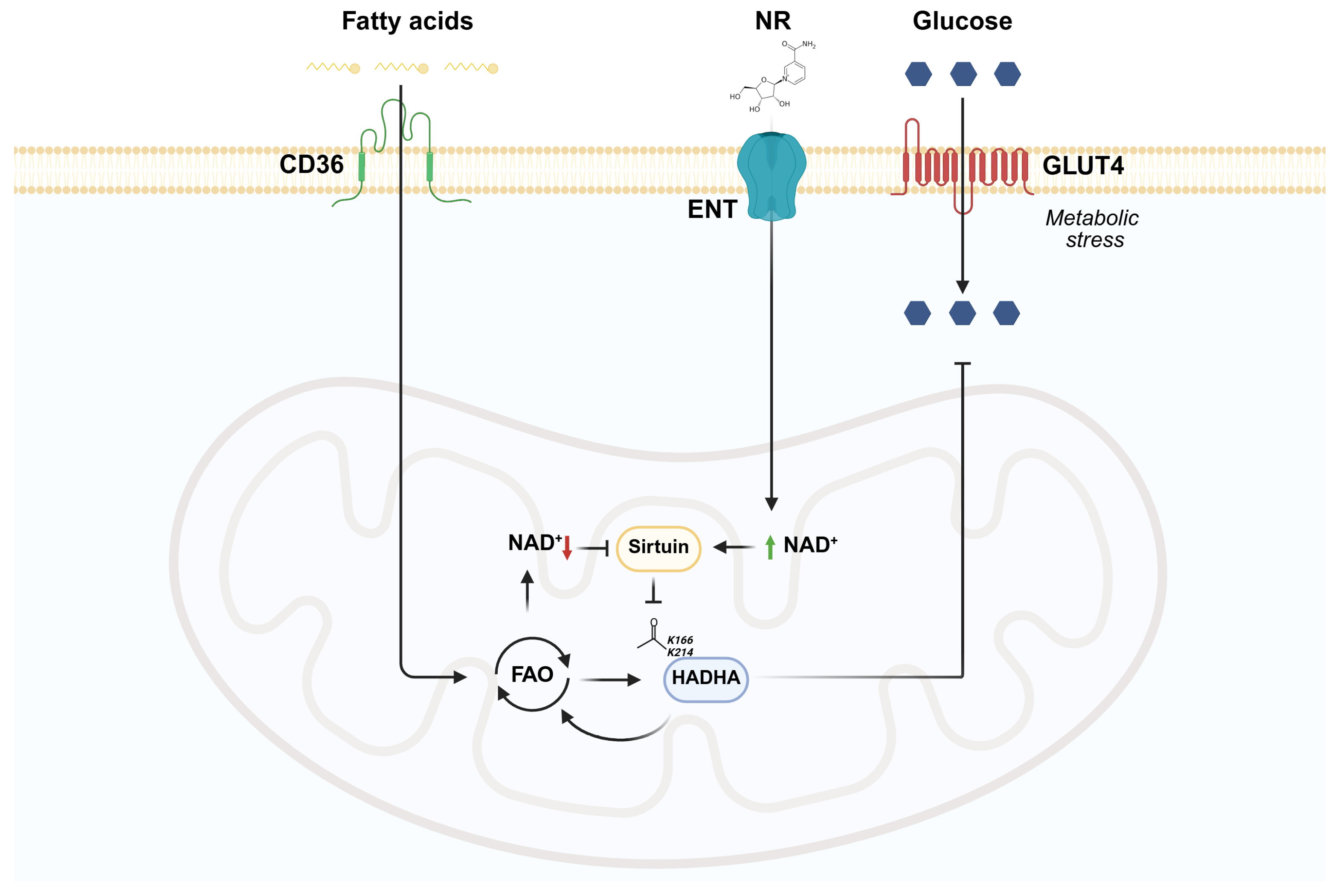 Metabolites 15 00636 g006 Metabolites 15 00636 g006