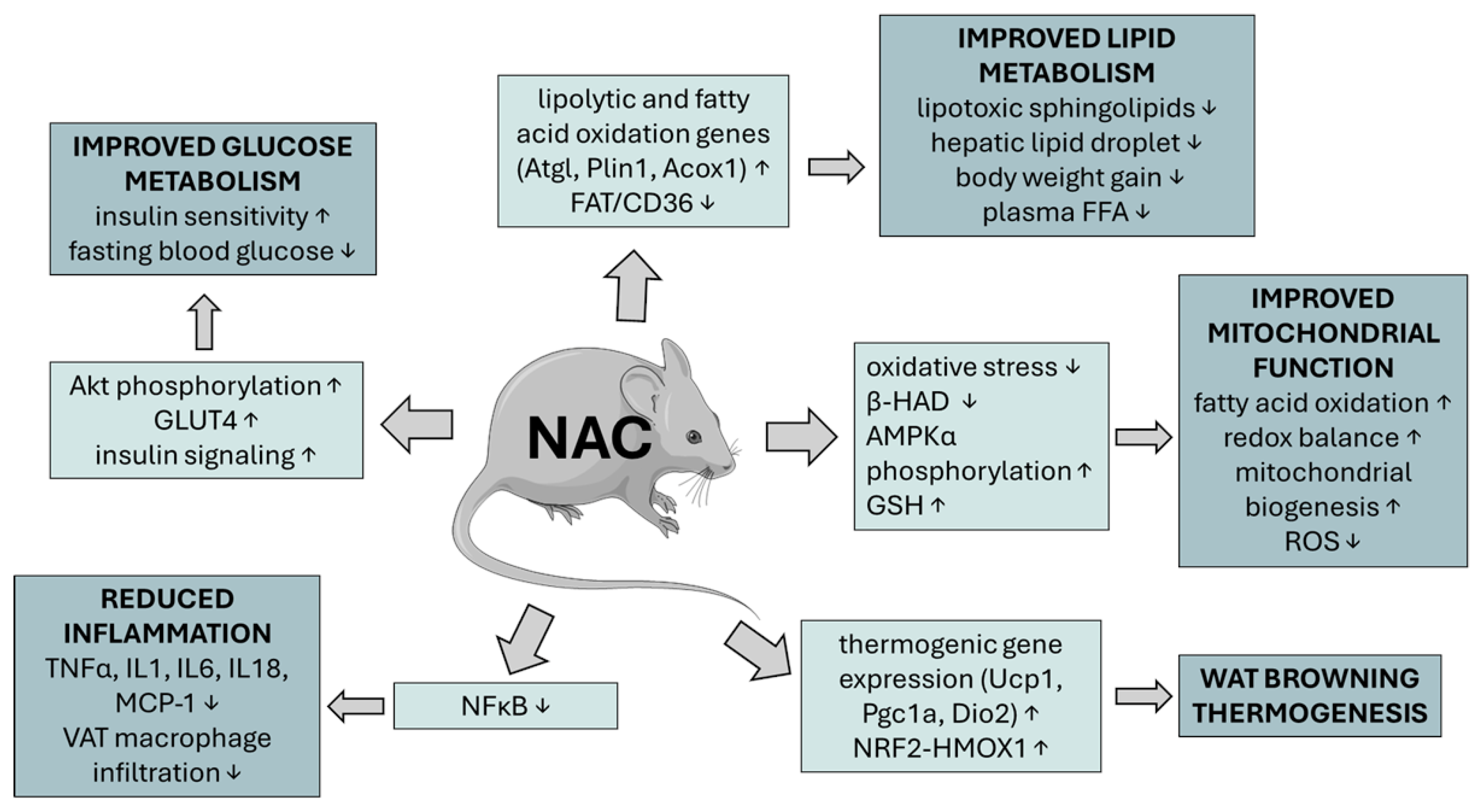 Metabolites 15 00645 g003 Metabolites 15 00645 g003