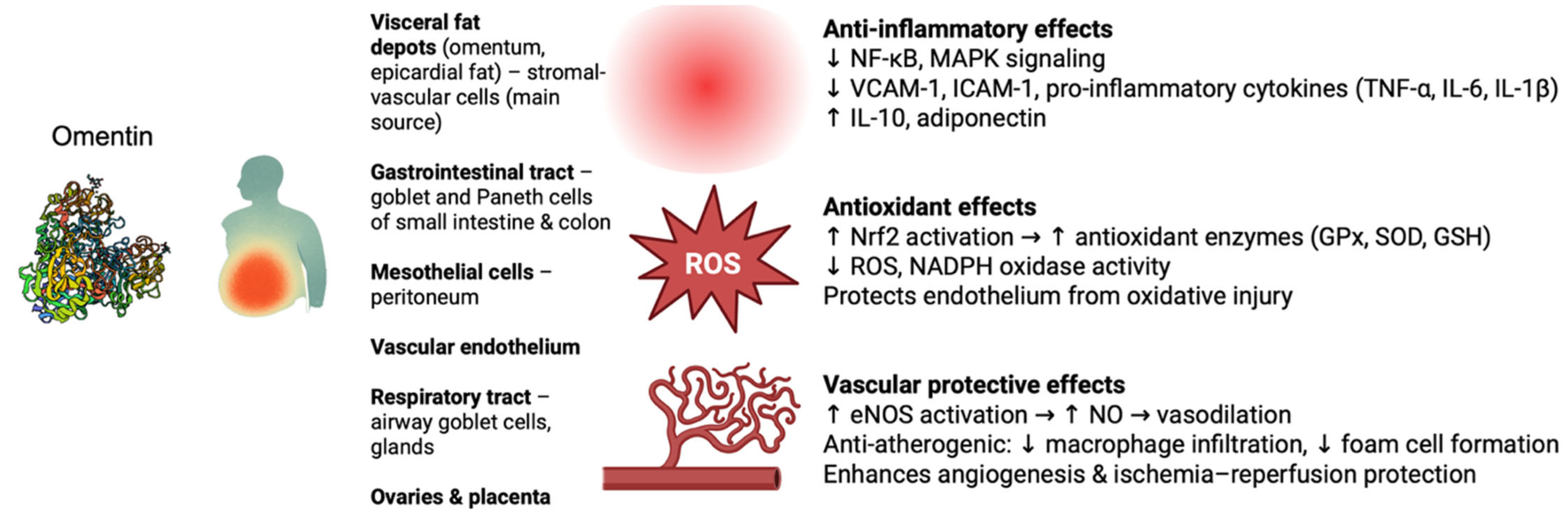 Metabolites 15 00649 g001 Metabolites 15 00649 g001
