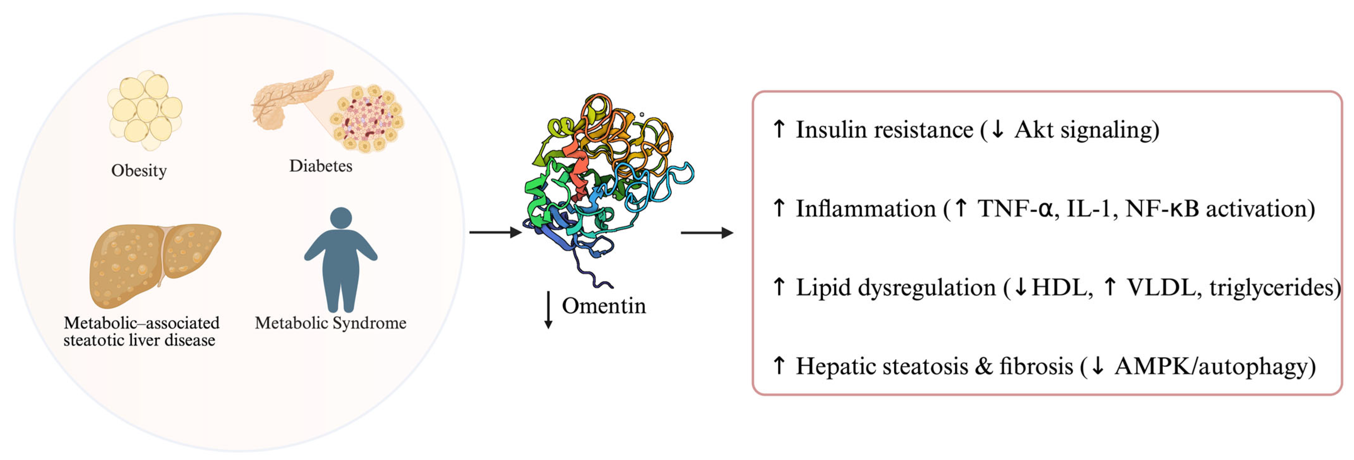 Metabolites 15 00649 g002 Metabolites 15 00649 g002