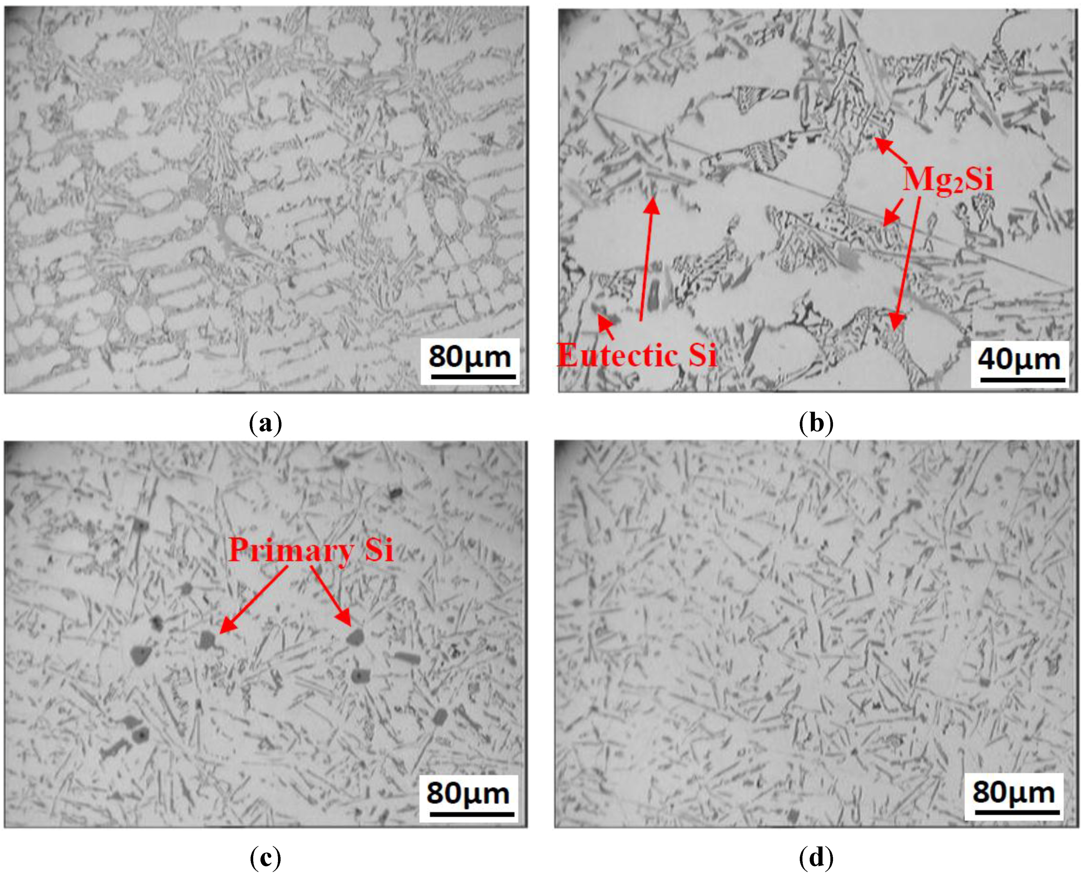 1 si mg. Микроструктура полимера. Cast Steel microstructure. Фаза mg2ca микроструктура. Гипс микроструктура.