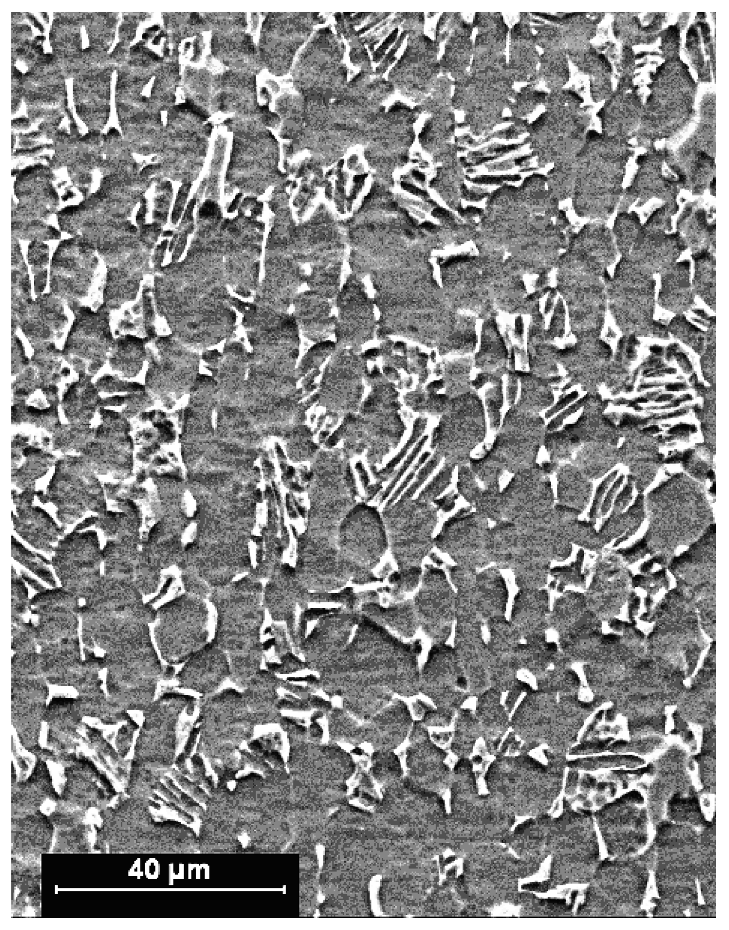 Metals 05 01148 g001