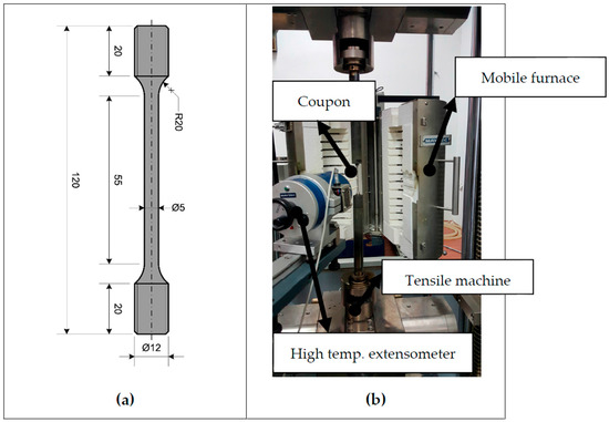 Experimental set-up for behavioural tests. Set-up for (A) the