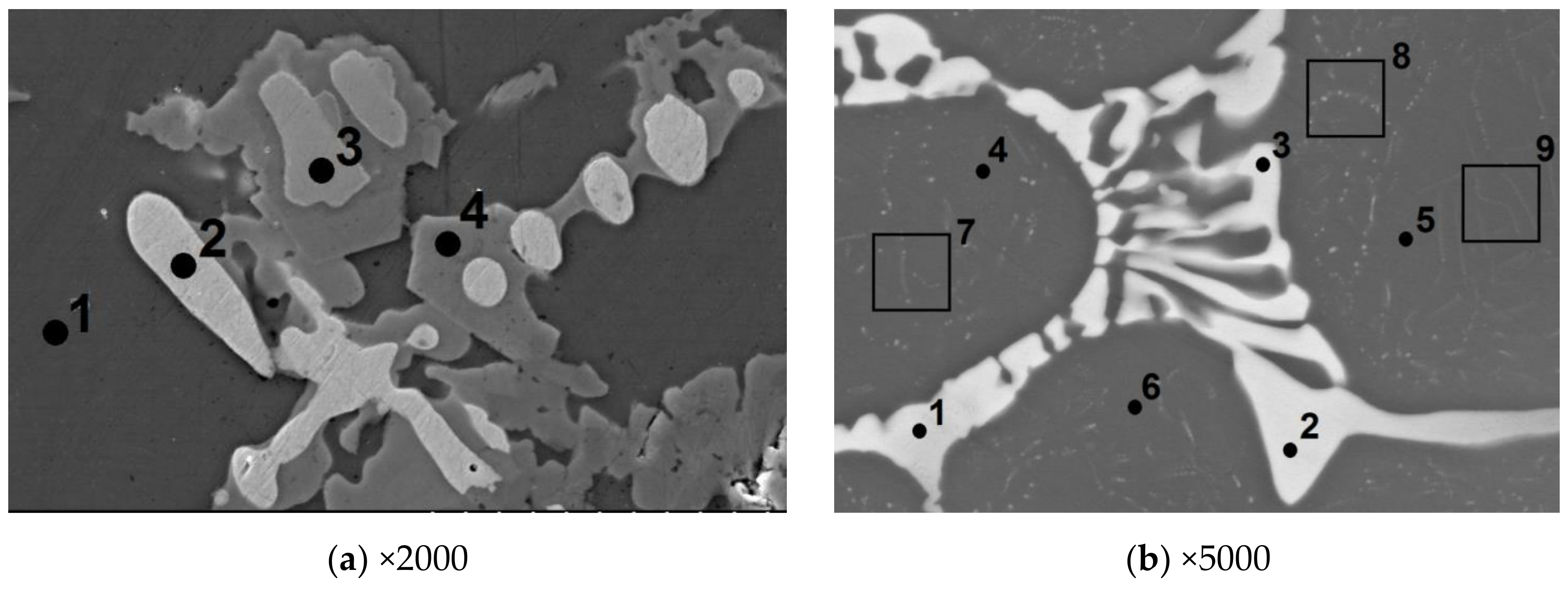 Ni cr mo. Ni-mo Alloy microstructure.