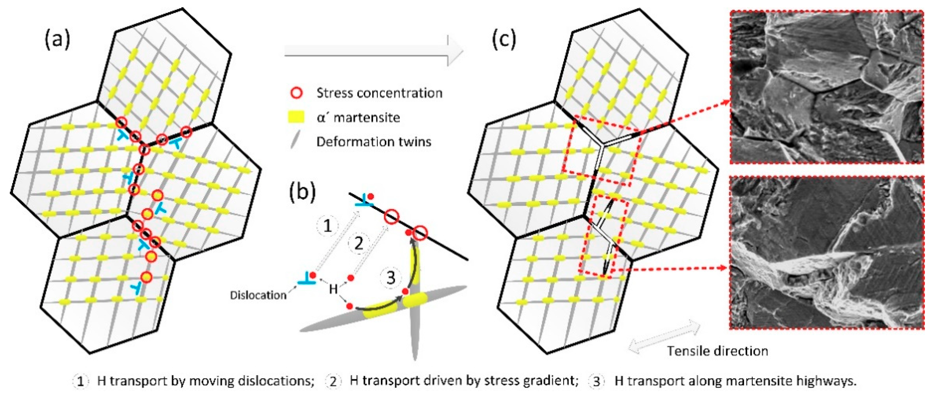 Metals 08 00660 g012