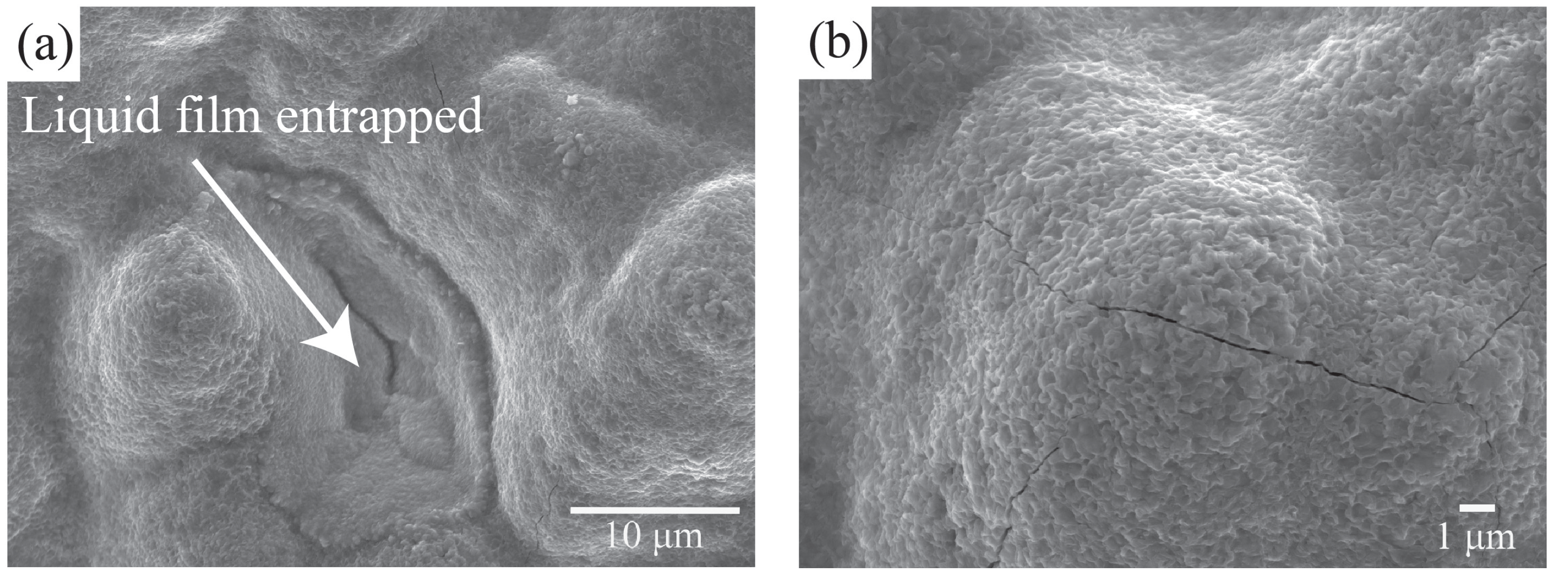 Metals 08 00673 g009