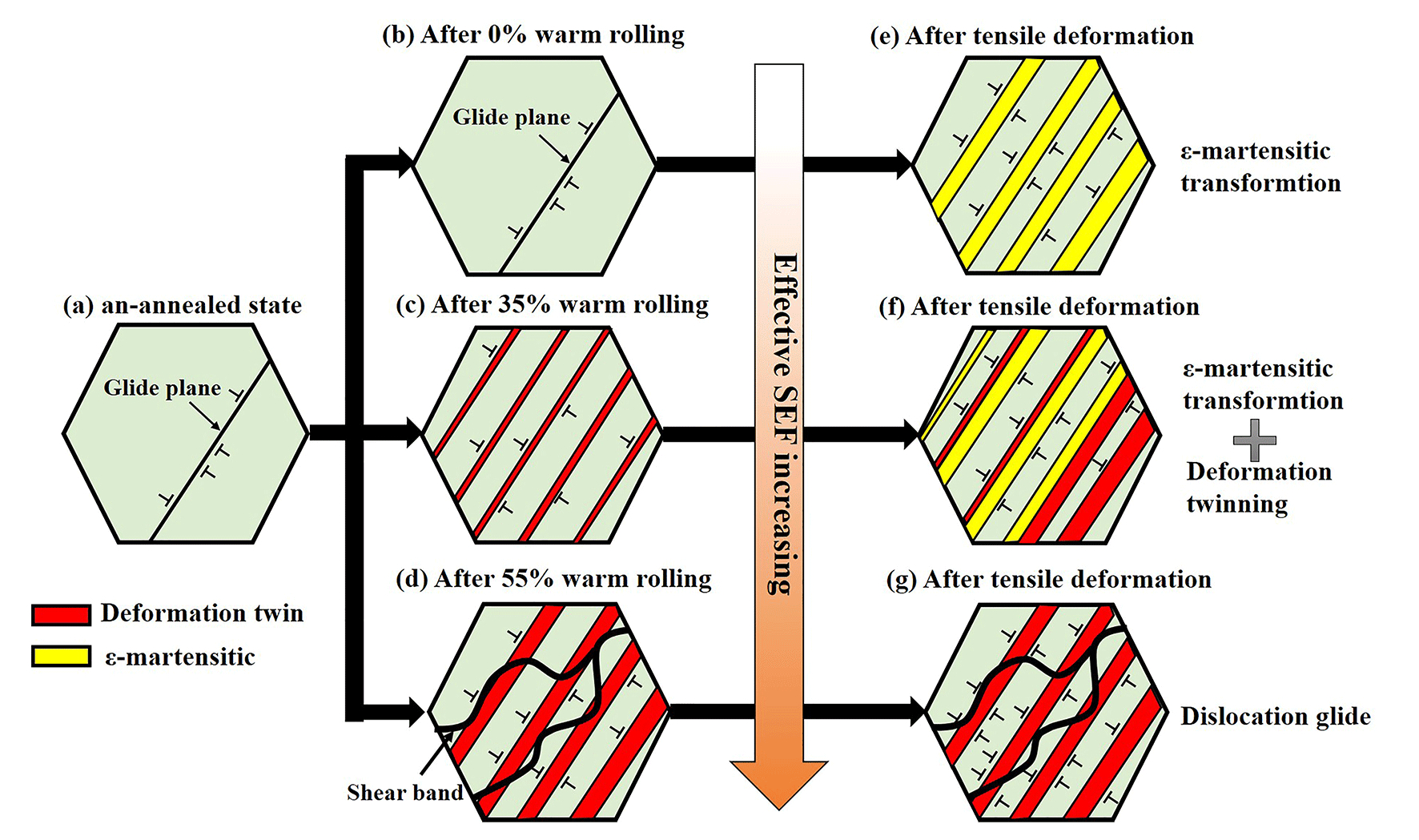 Metals Free Full Text The Influence Of Warm Rolling Reduction On