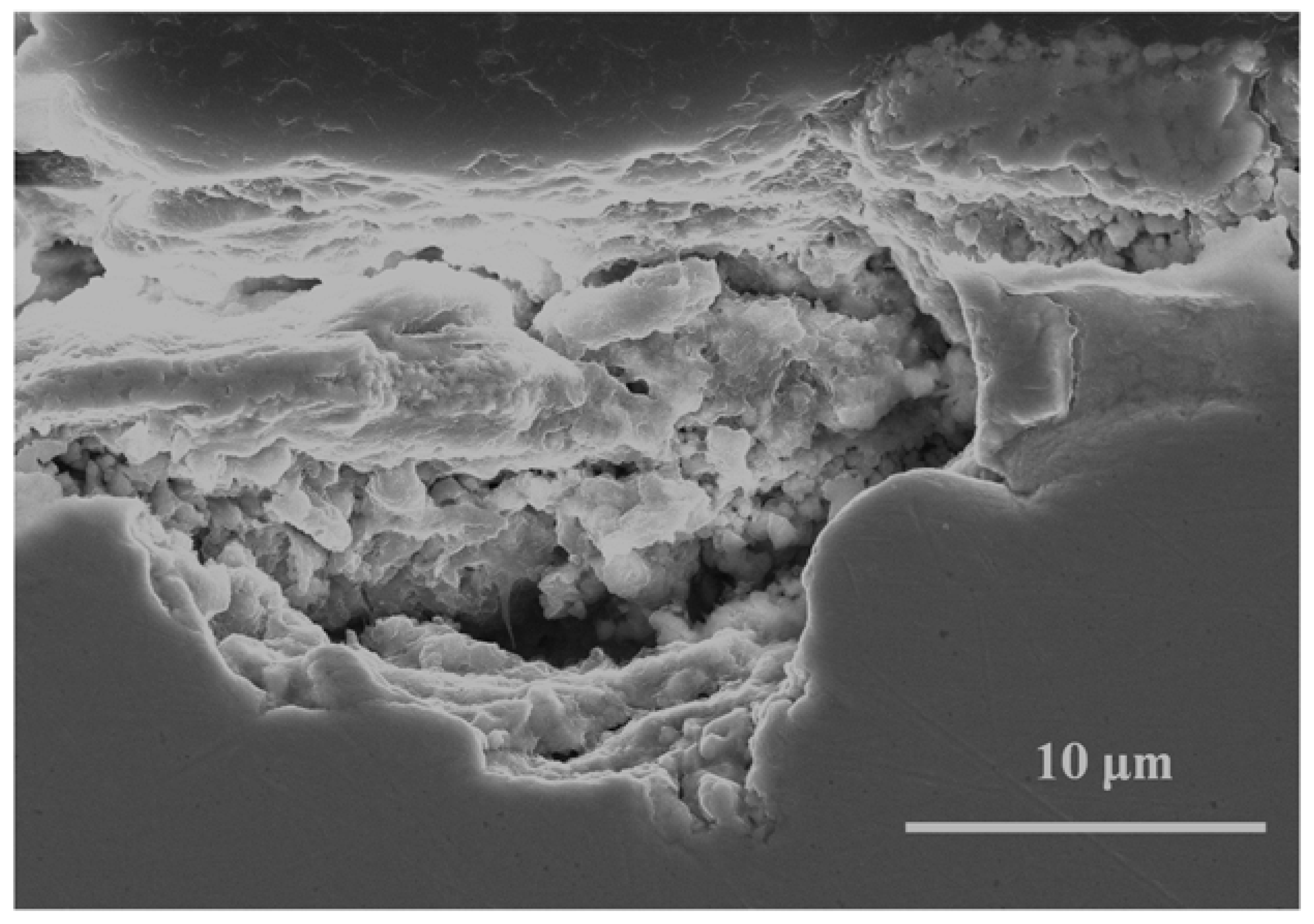 Metals 08 00866 g009 Metals 08 00866 g009