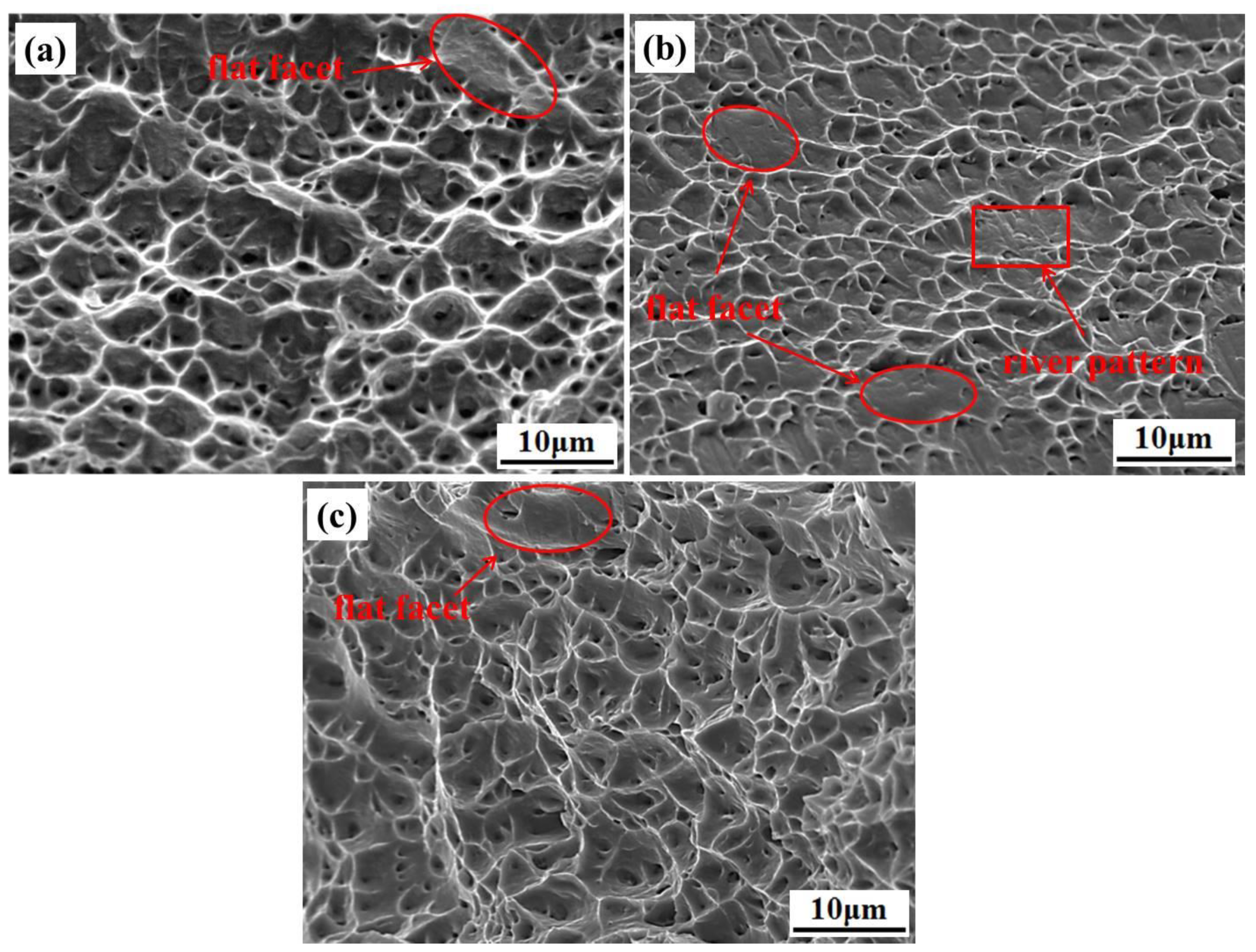 Metals 08 00881 g004