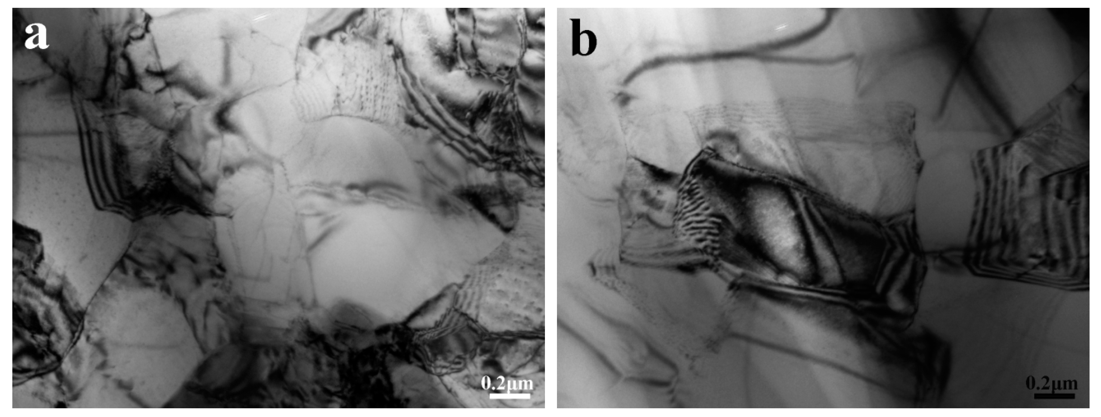 Metals 08 00890 g005a