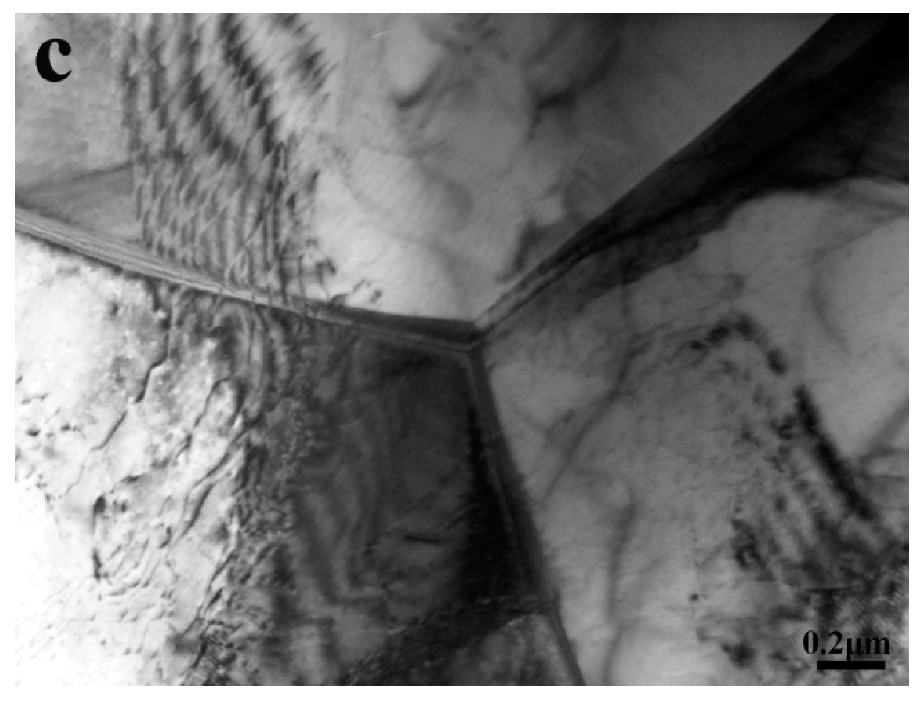 Metals 08 00890 g005b