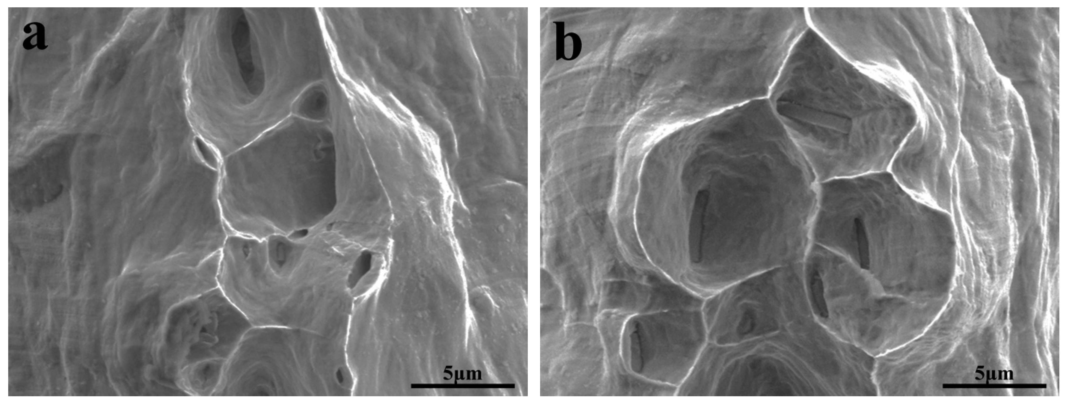 Metals 08 00890 g006