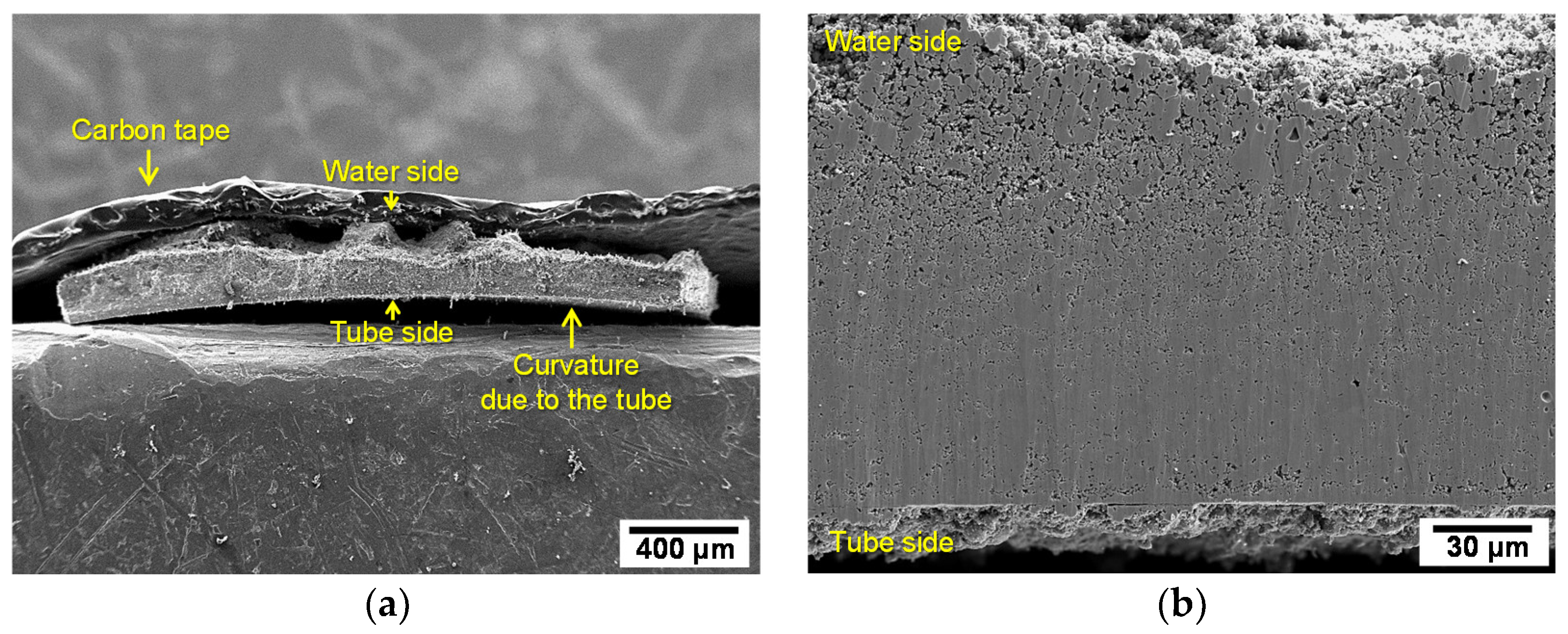 Metals | Free Full-Text | Micro-Galvanic Corrosion of Steam Generator  Materials within Pores of Magnetite Flakes in Alkaline Solutions
