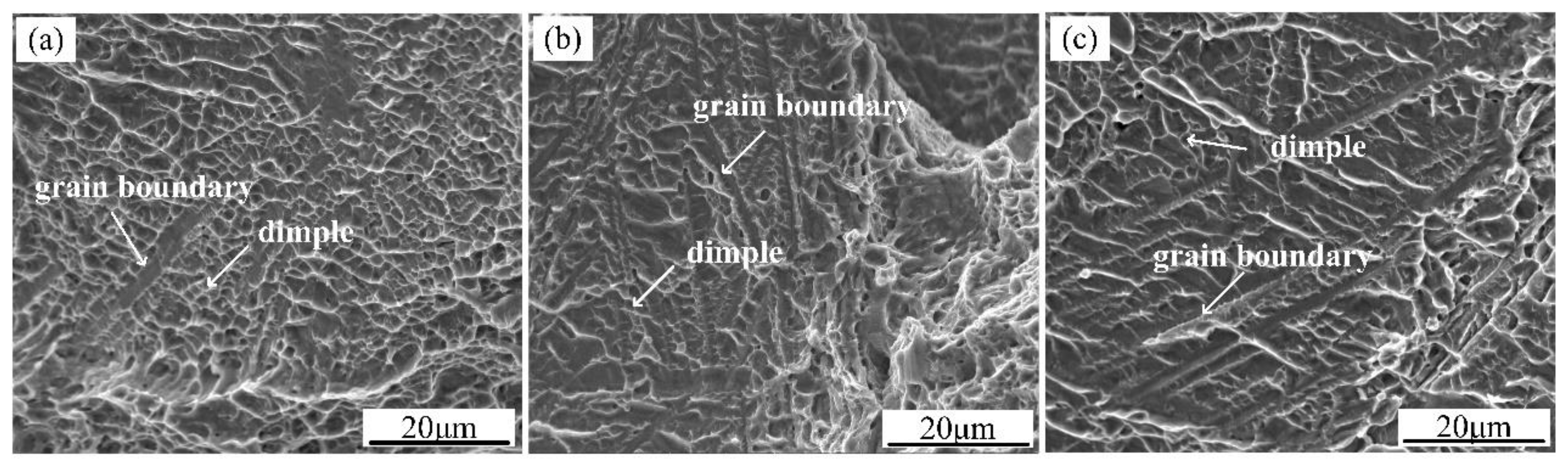 Metals 08 01002 g010