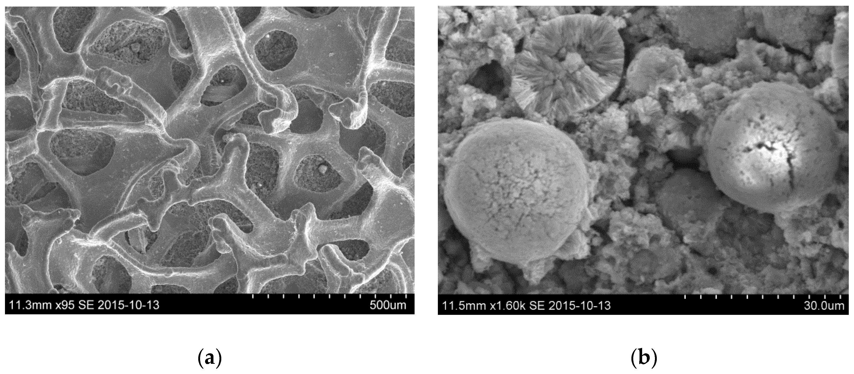 Metals 08 01062 g001