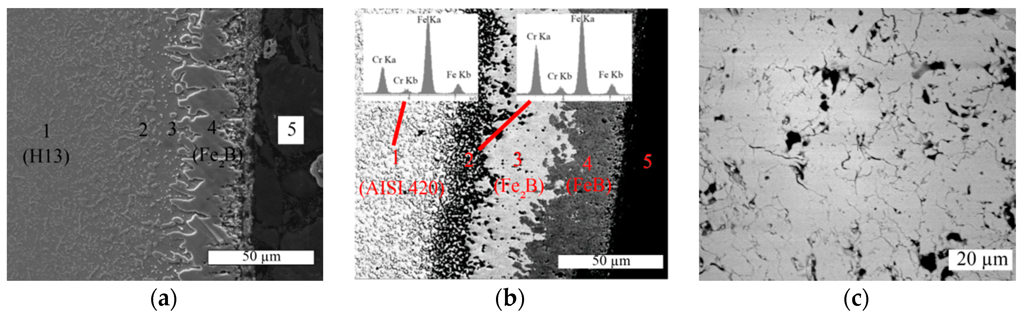 Metals 08 01071 g002