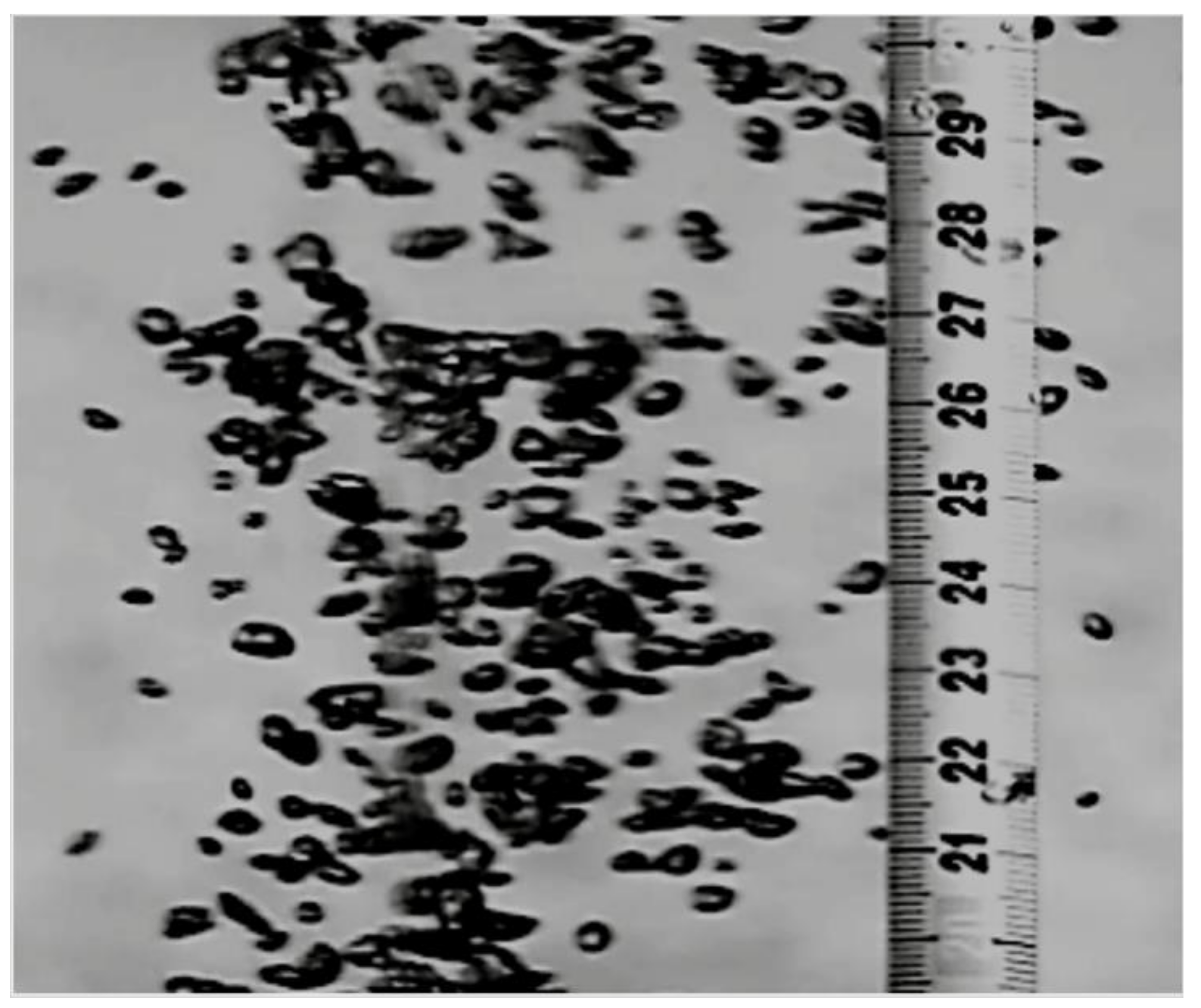 Metals 09 00400 g004