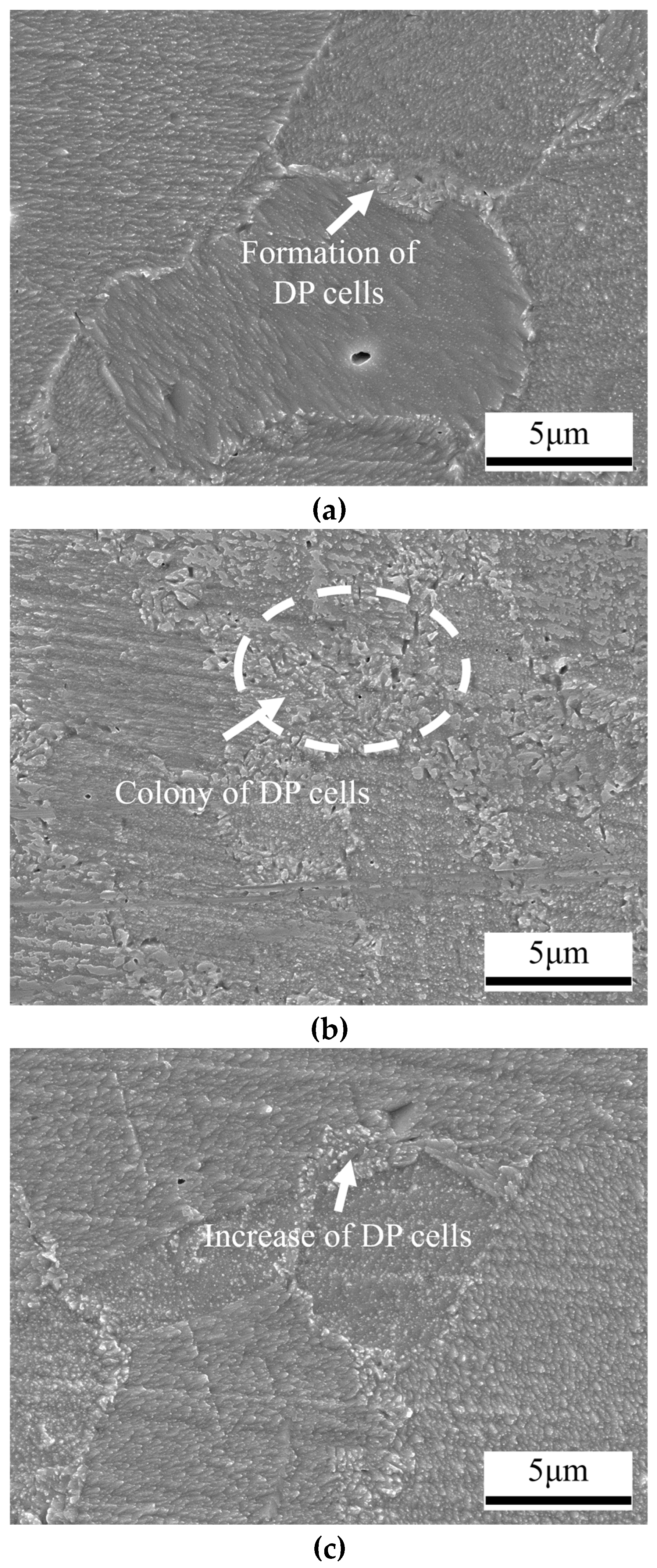 Metals 09 00461 g011 Metals 09 00461 g011