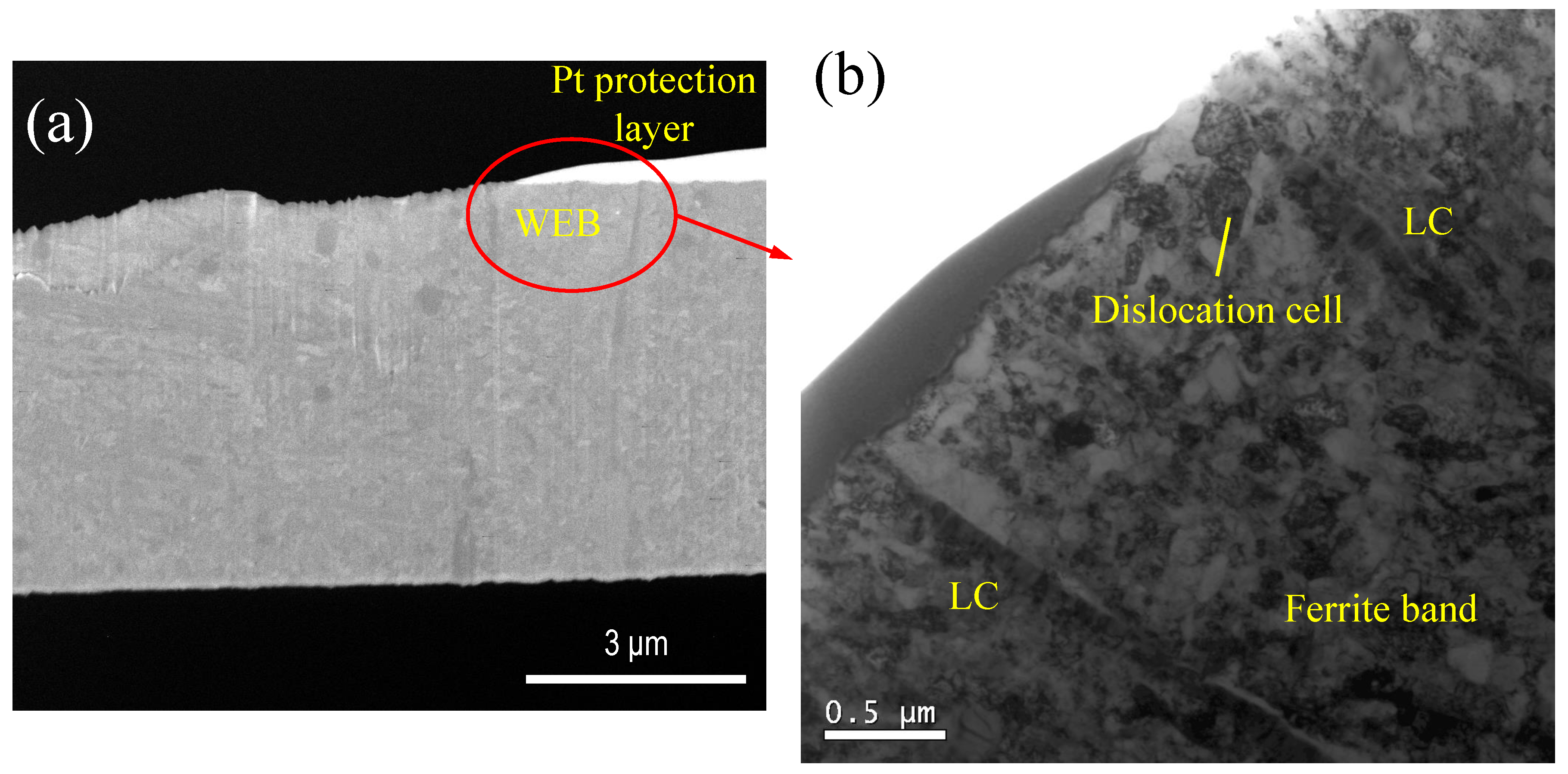 Metals 09 00491 g007a