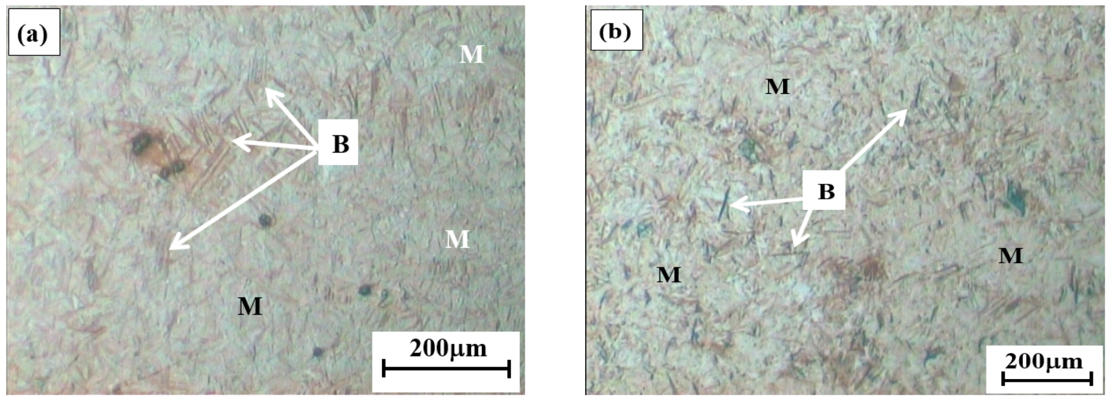 bainite and martensite