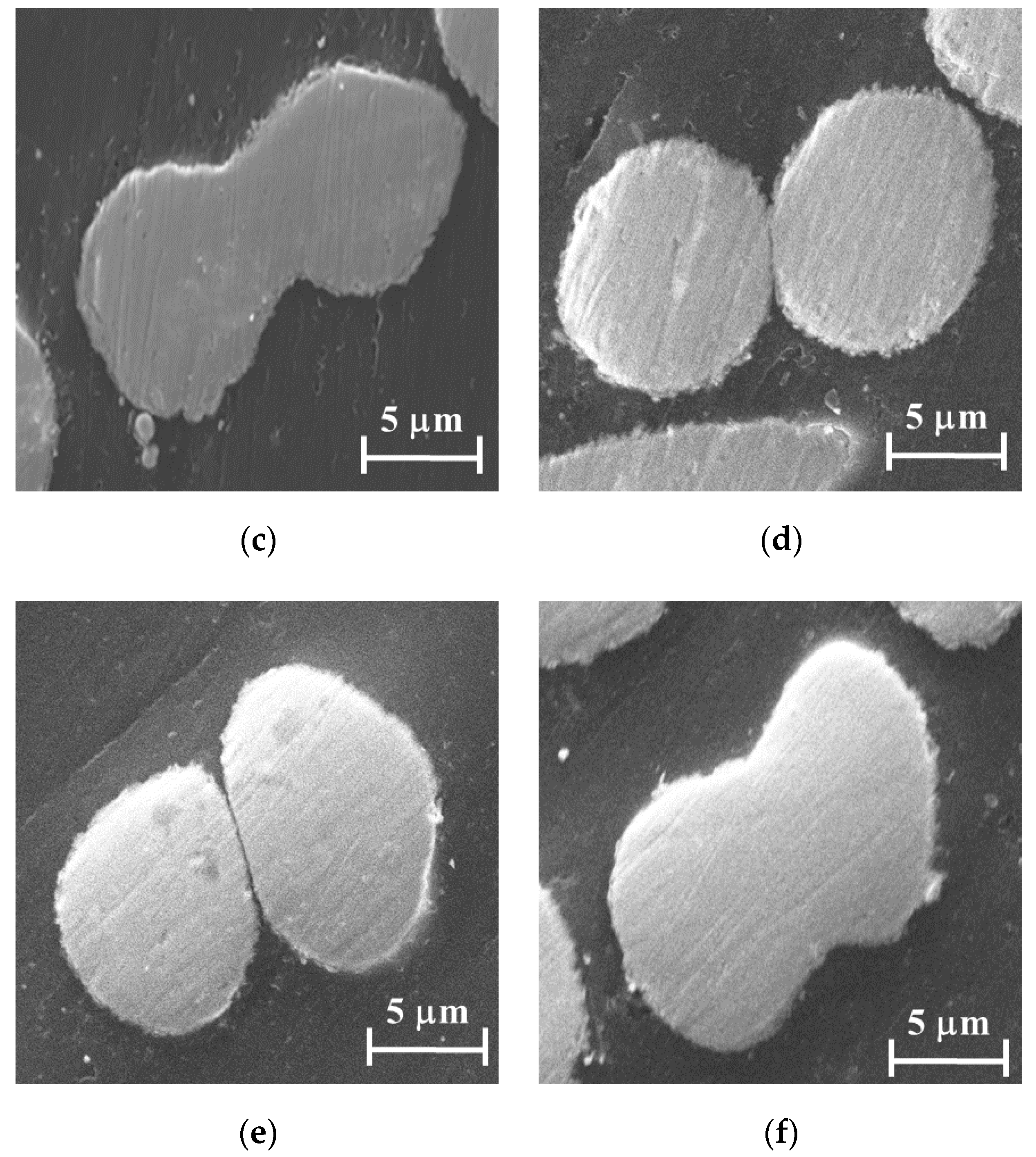 Graphite Sintering Molds – Widely Used in Powder Sintering Field