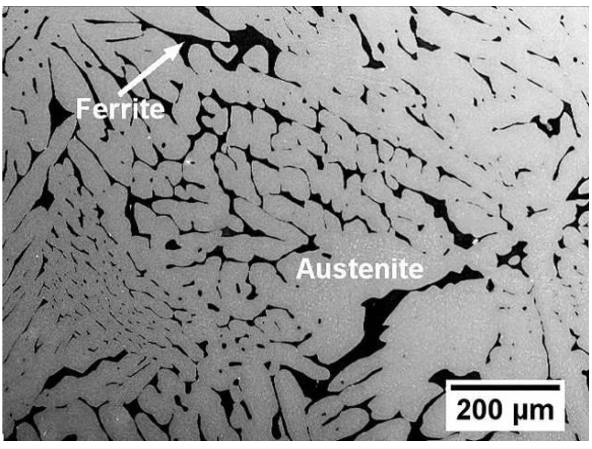 Metals | Free Full-Text | Three-Dimensional (3D) Microstructure-Based  Modeling of a Thermally-Aged Cast Duplex Stainless Steel Based on X-ray  Microtomography, Nanoindentation and Micropillar Compression