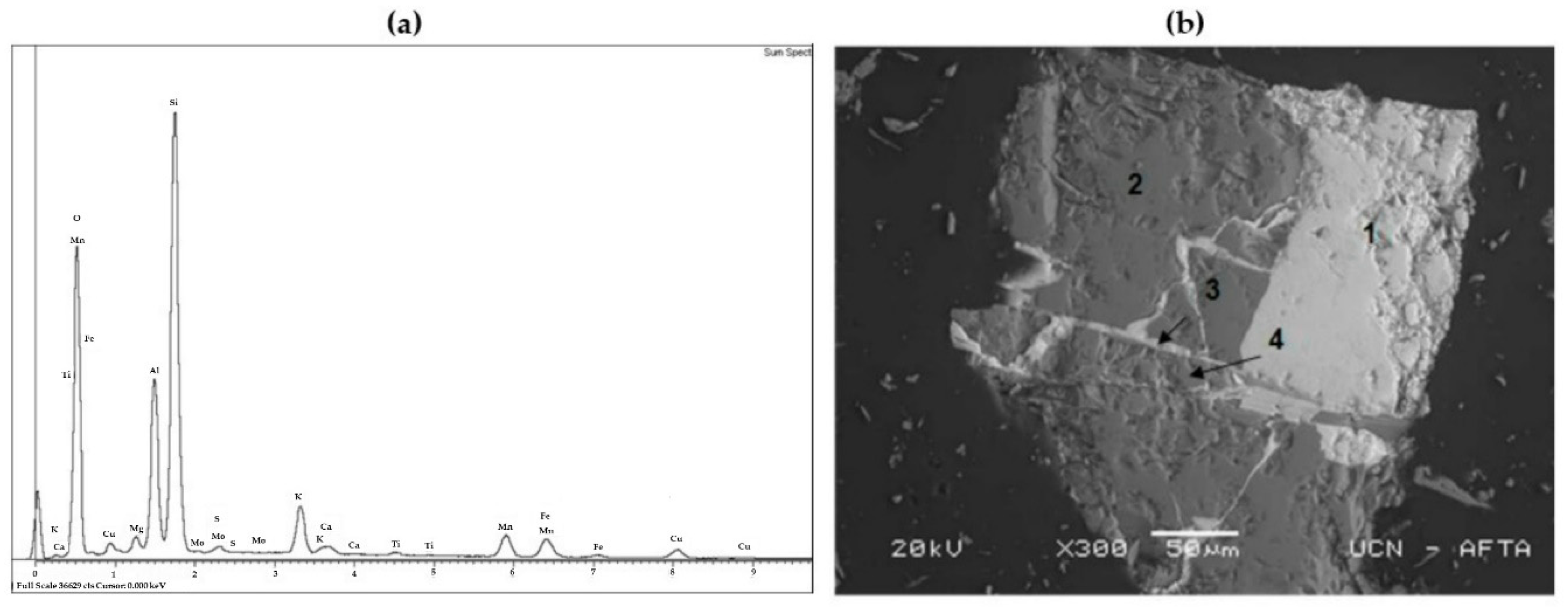 Metals 09 00799 g002