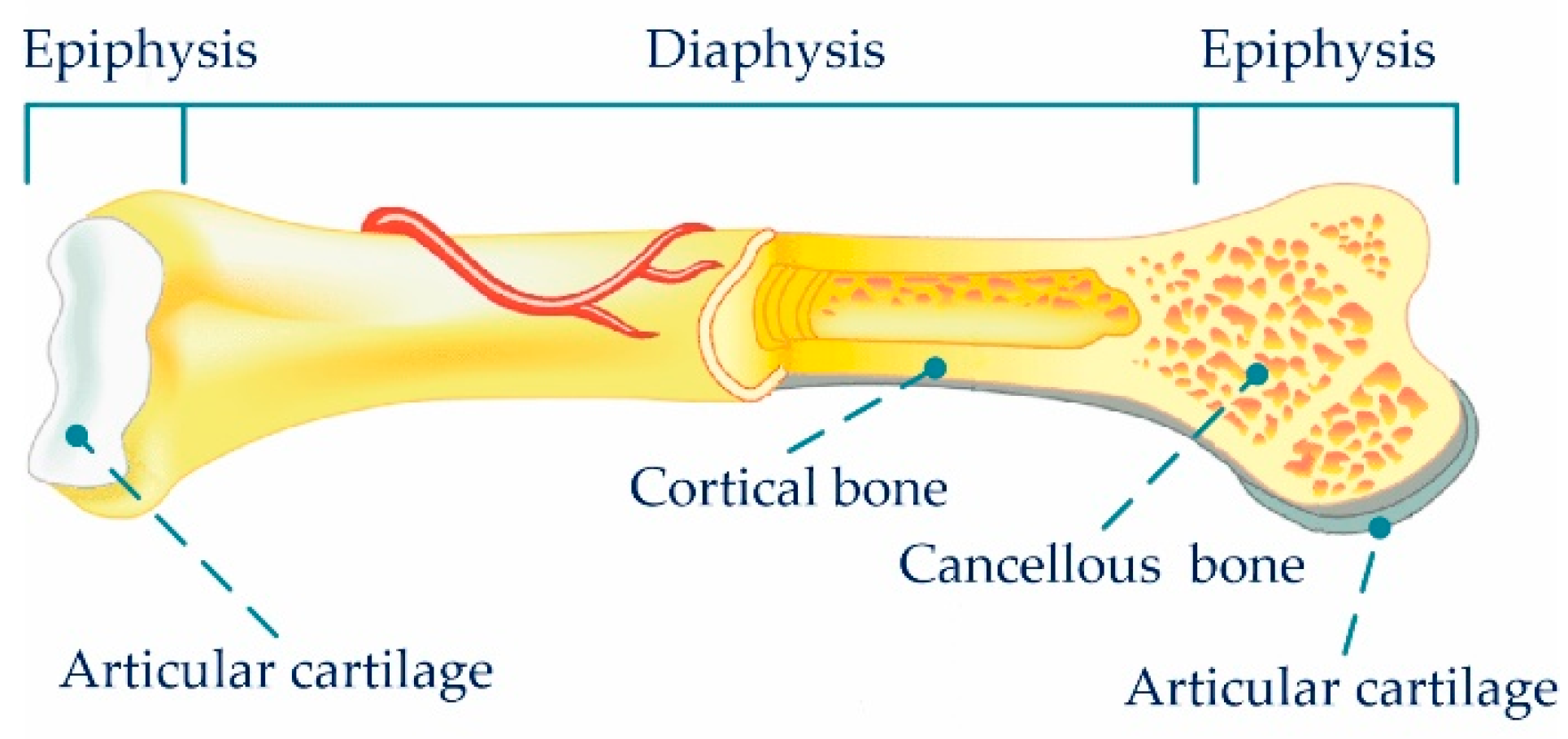 Metals 09 01004 g006
