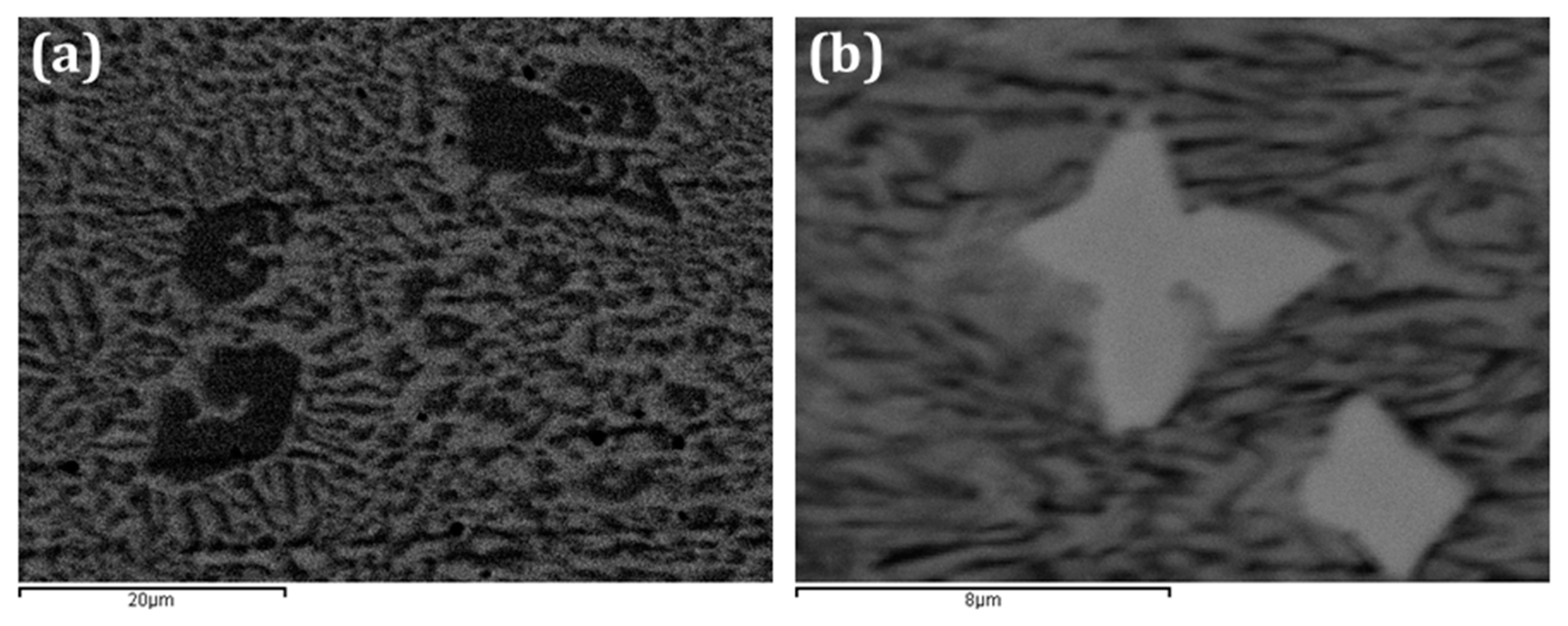 Metals 09 01057 g010