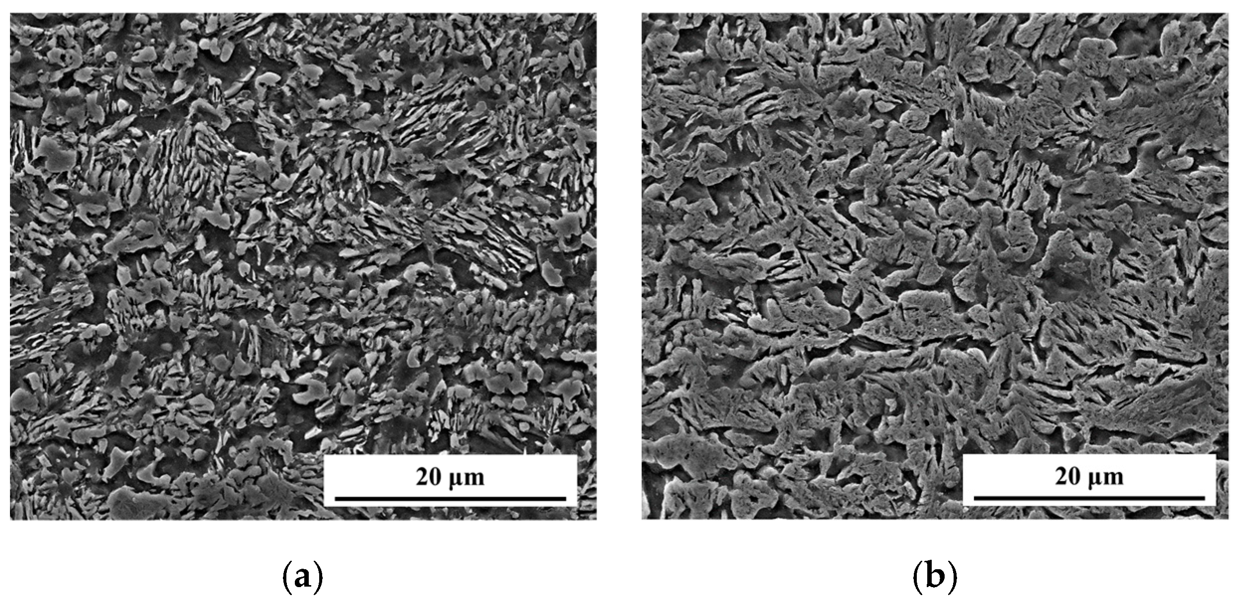 Metals 09 01086 g005a