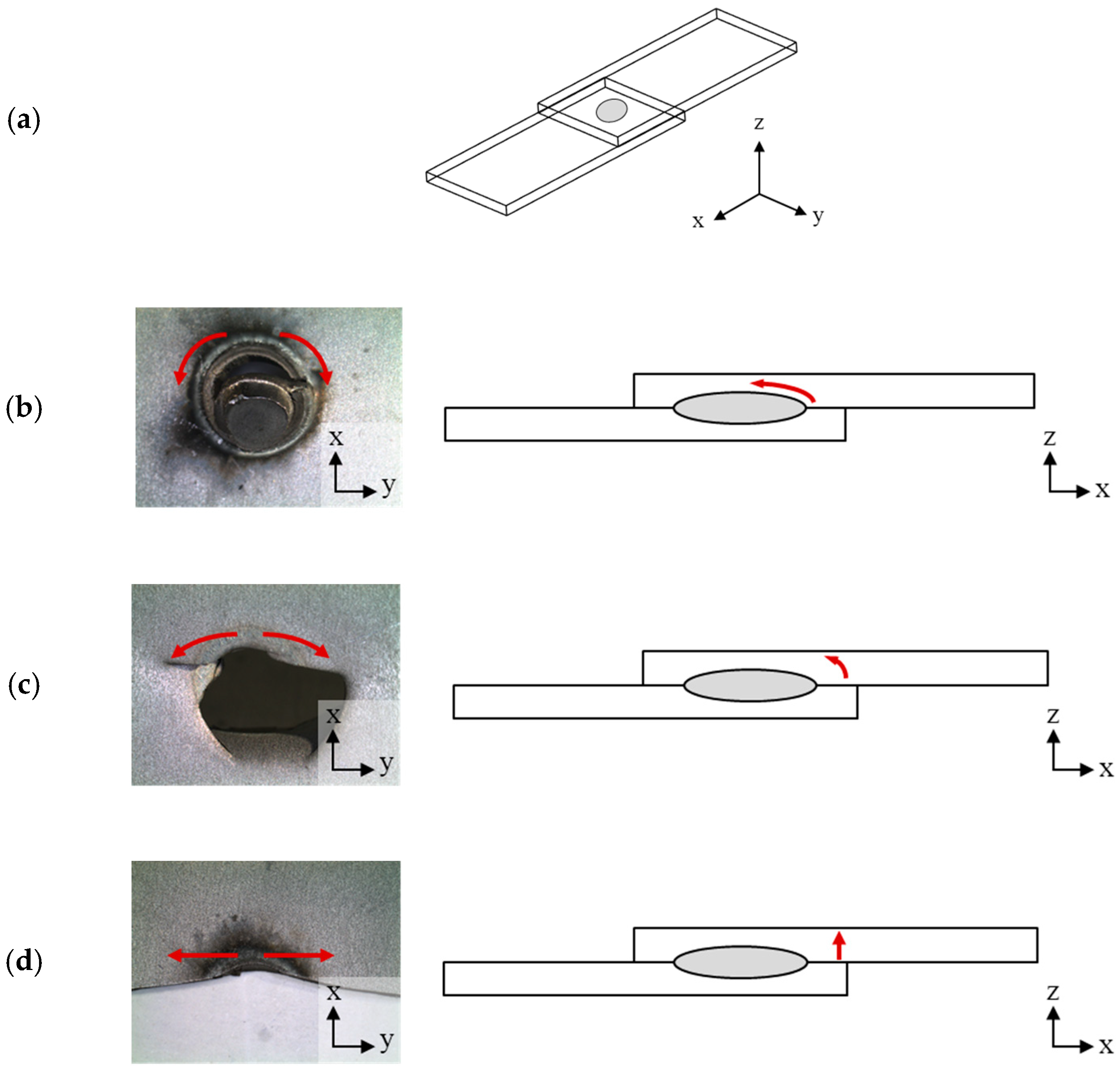 Metals 09 01086 g009