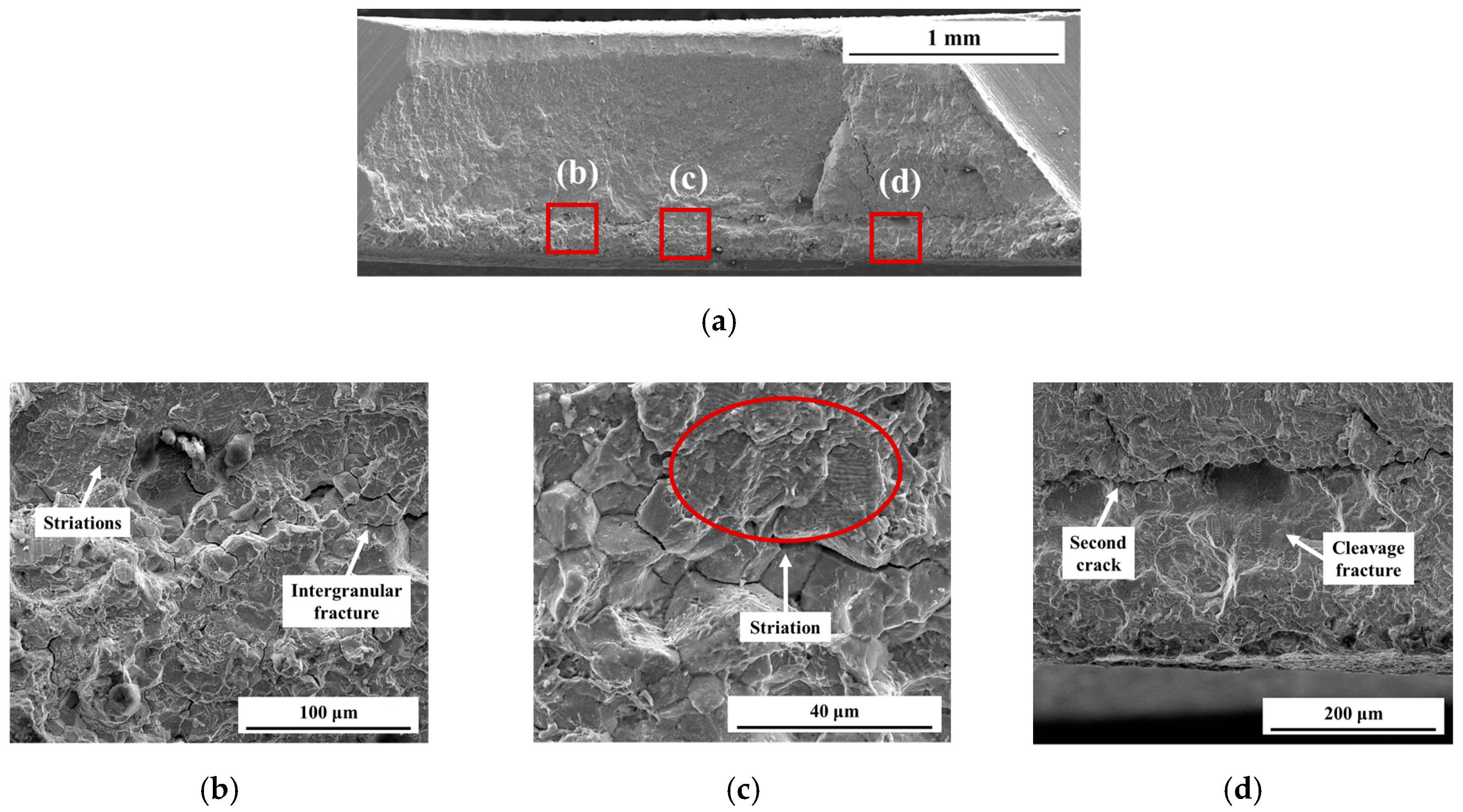 Metals 09 01086 g011
