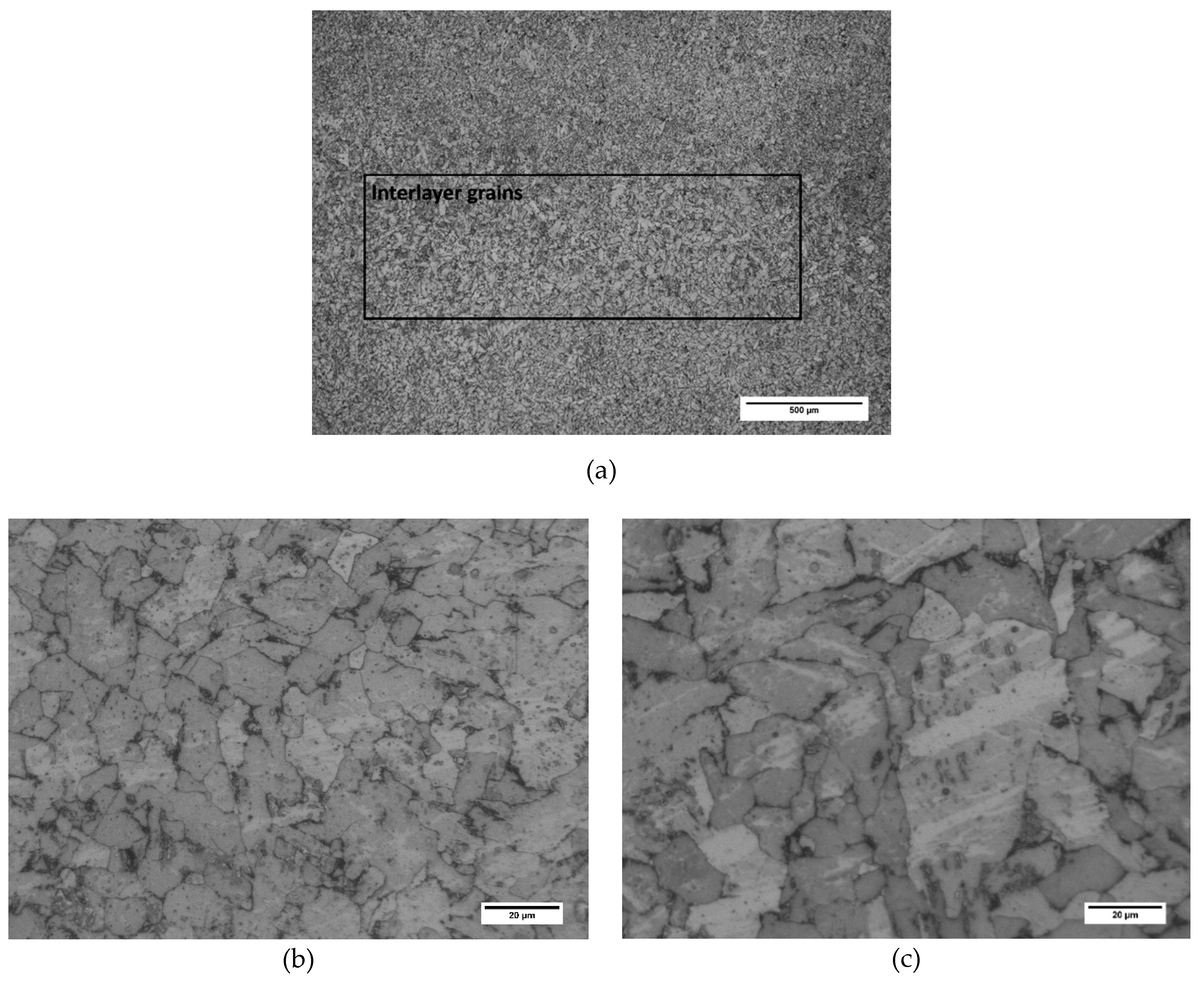 Metals 09 01208 g005