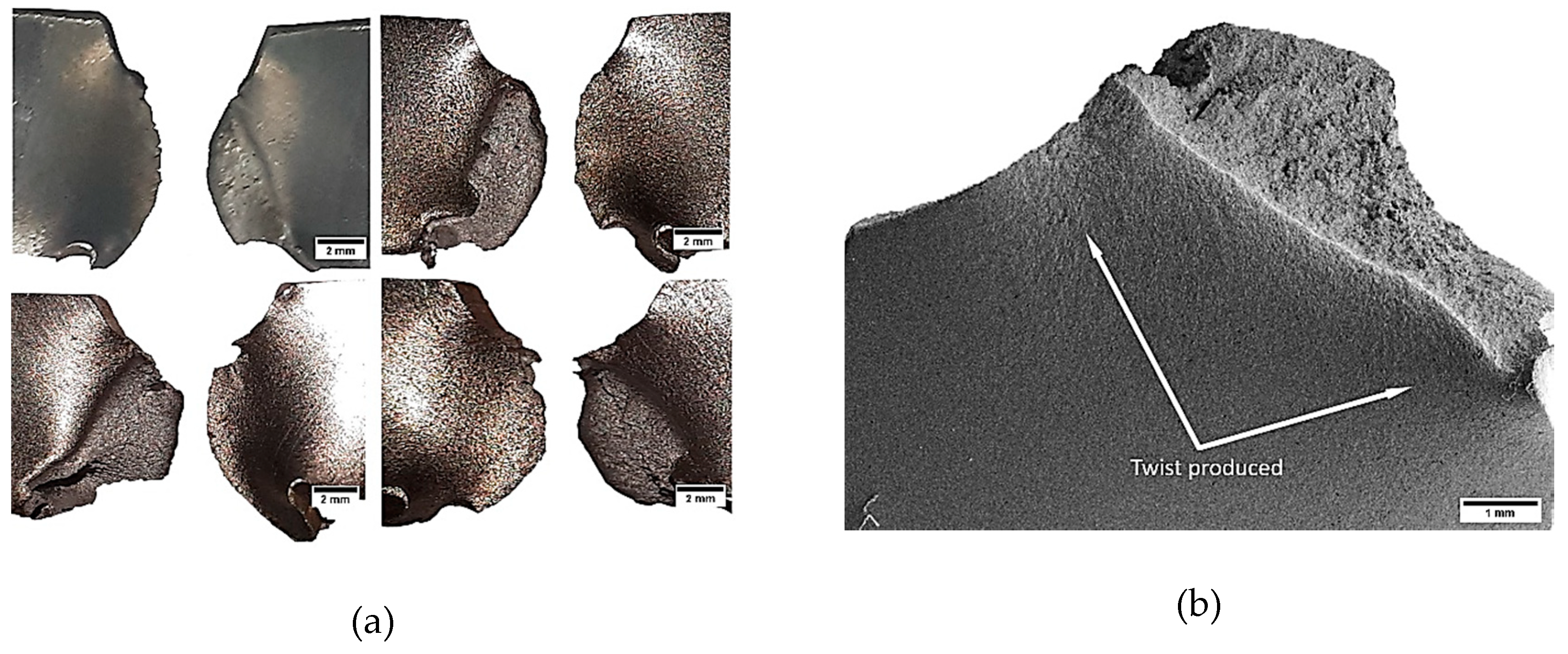 Metals 09 01208 g009