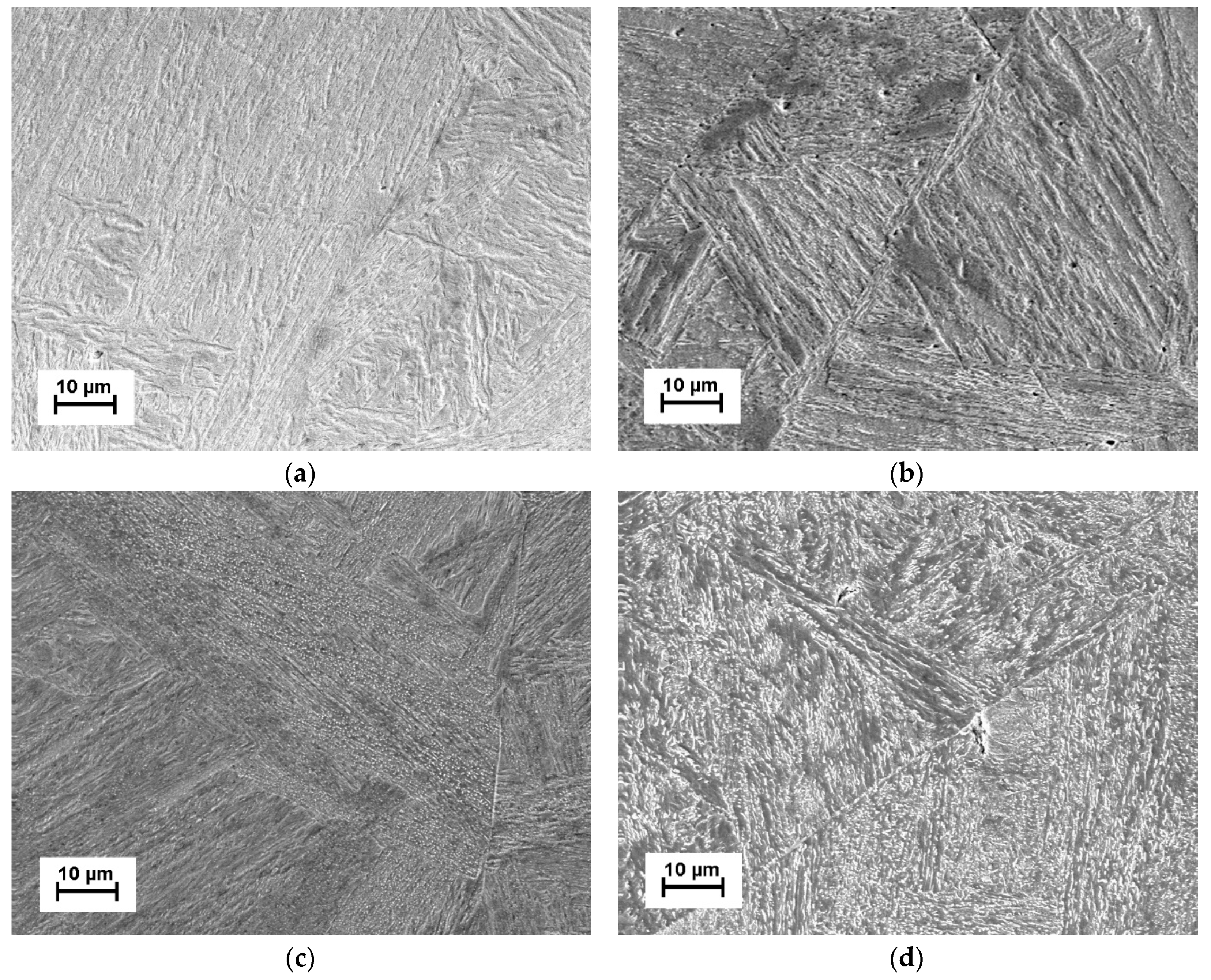 Metals 09 01226 g005