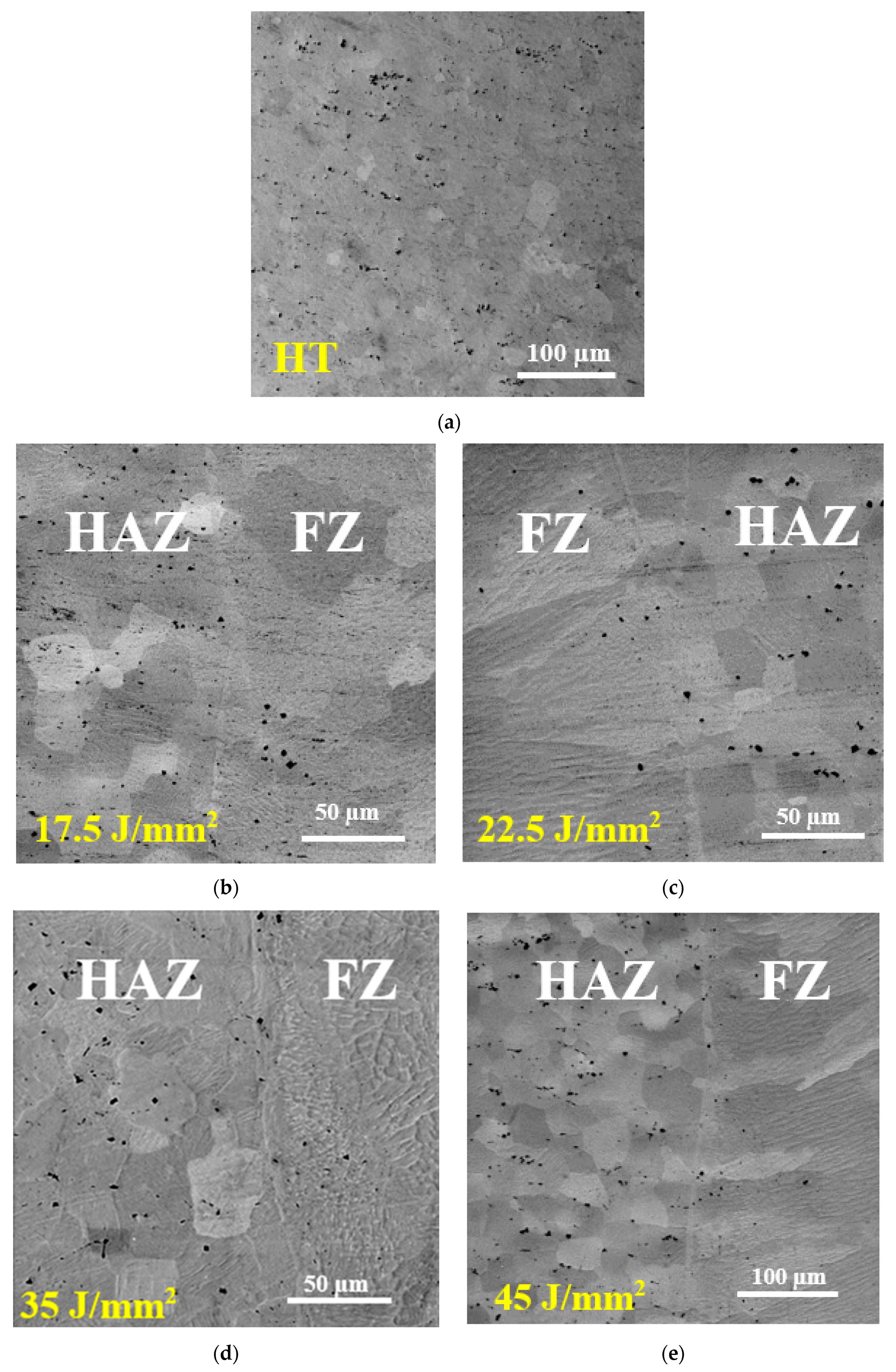 Metals 09 01268 g003
