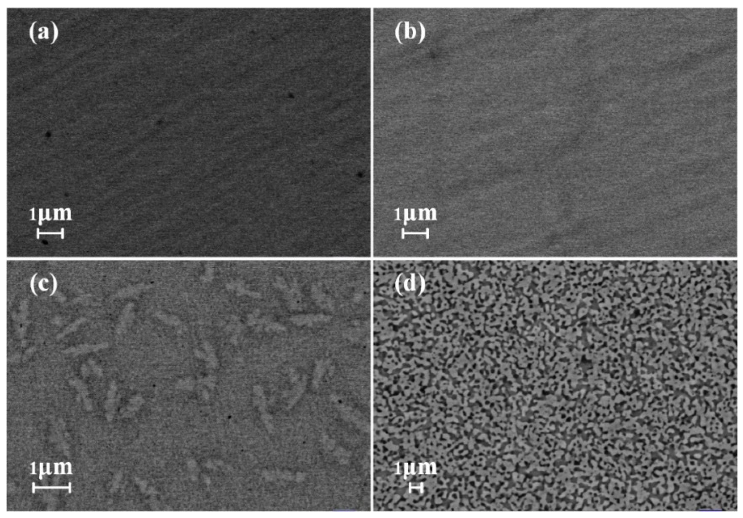 Metals 09 01298 g005