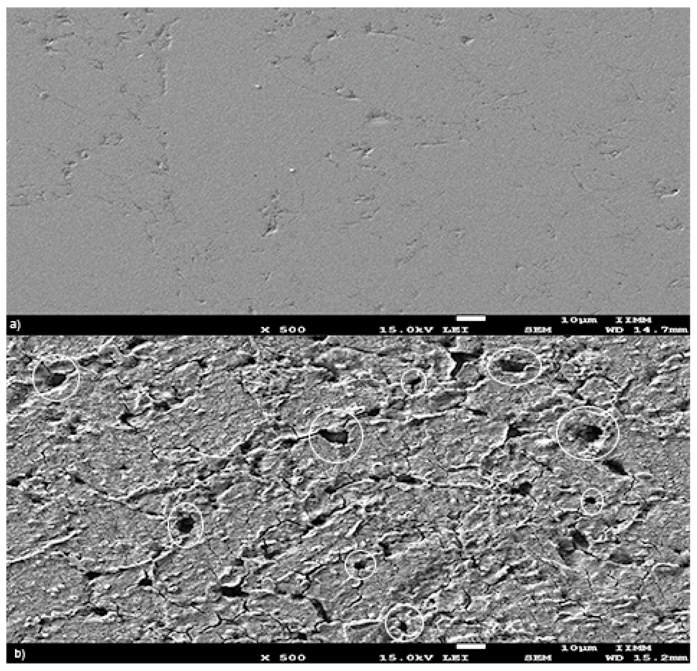 Metals 09 01307 g006