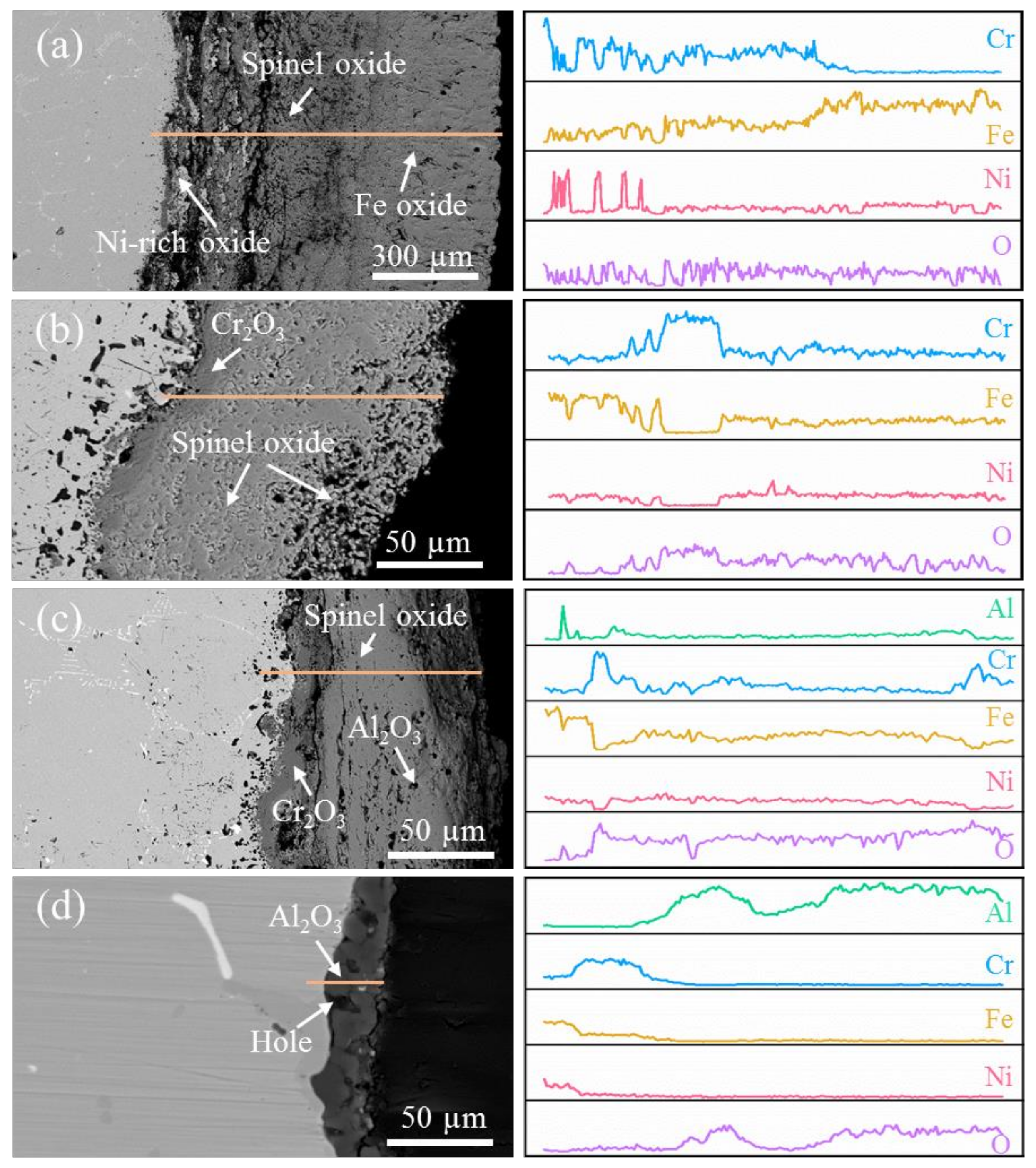 Metals 10 00176 g006