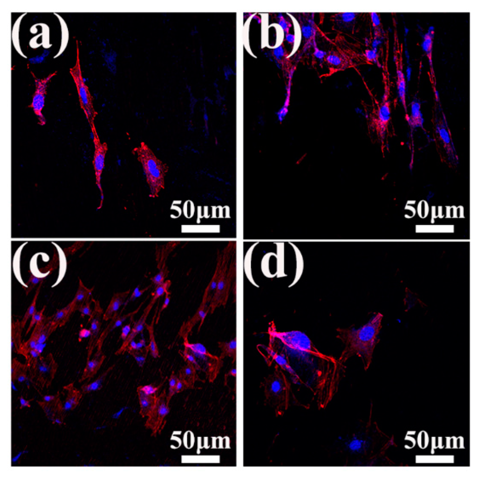 Metals 10 00191 g009 Metals 10 00191 g009