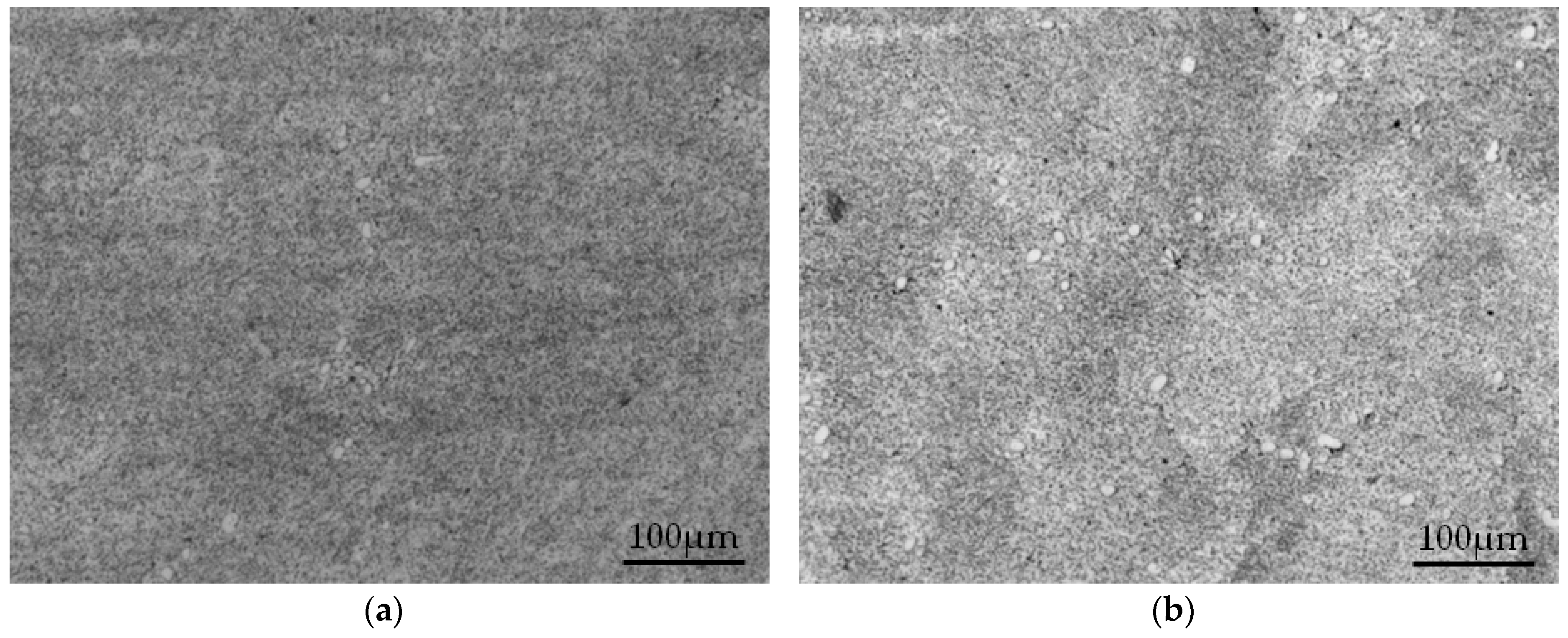 Metals 10 00197 g005a