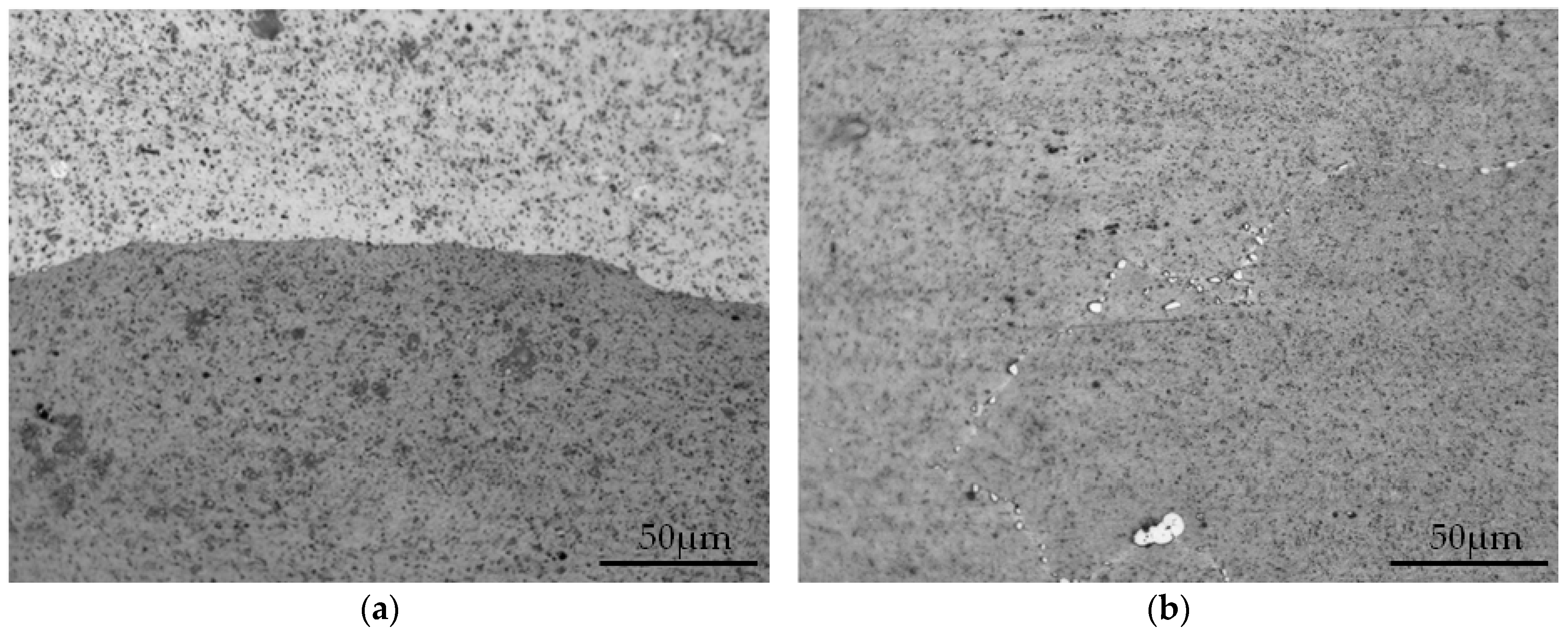 Metals 10 00197 g007